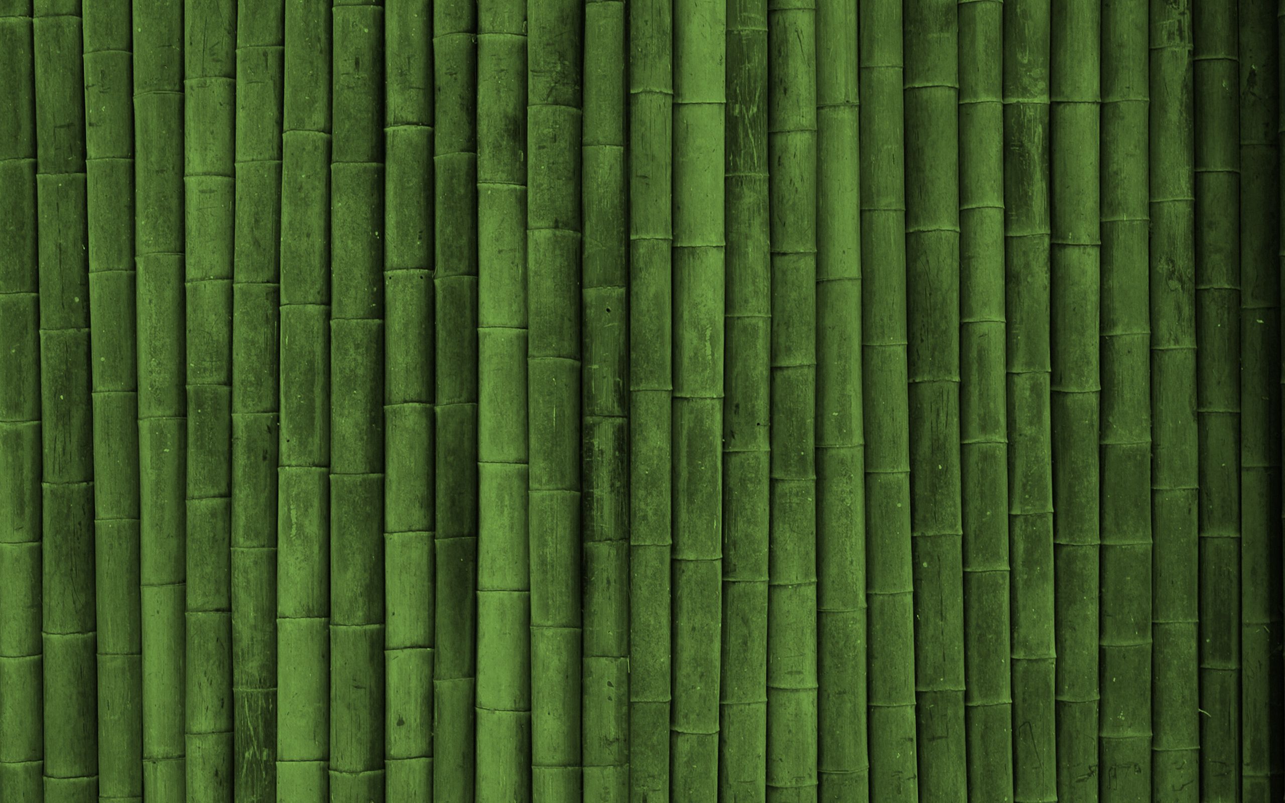 bamboo, green, vertical, texture, textures, sticks, stick