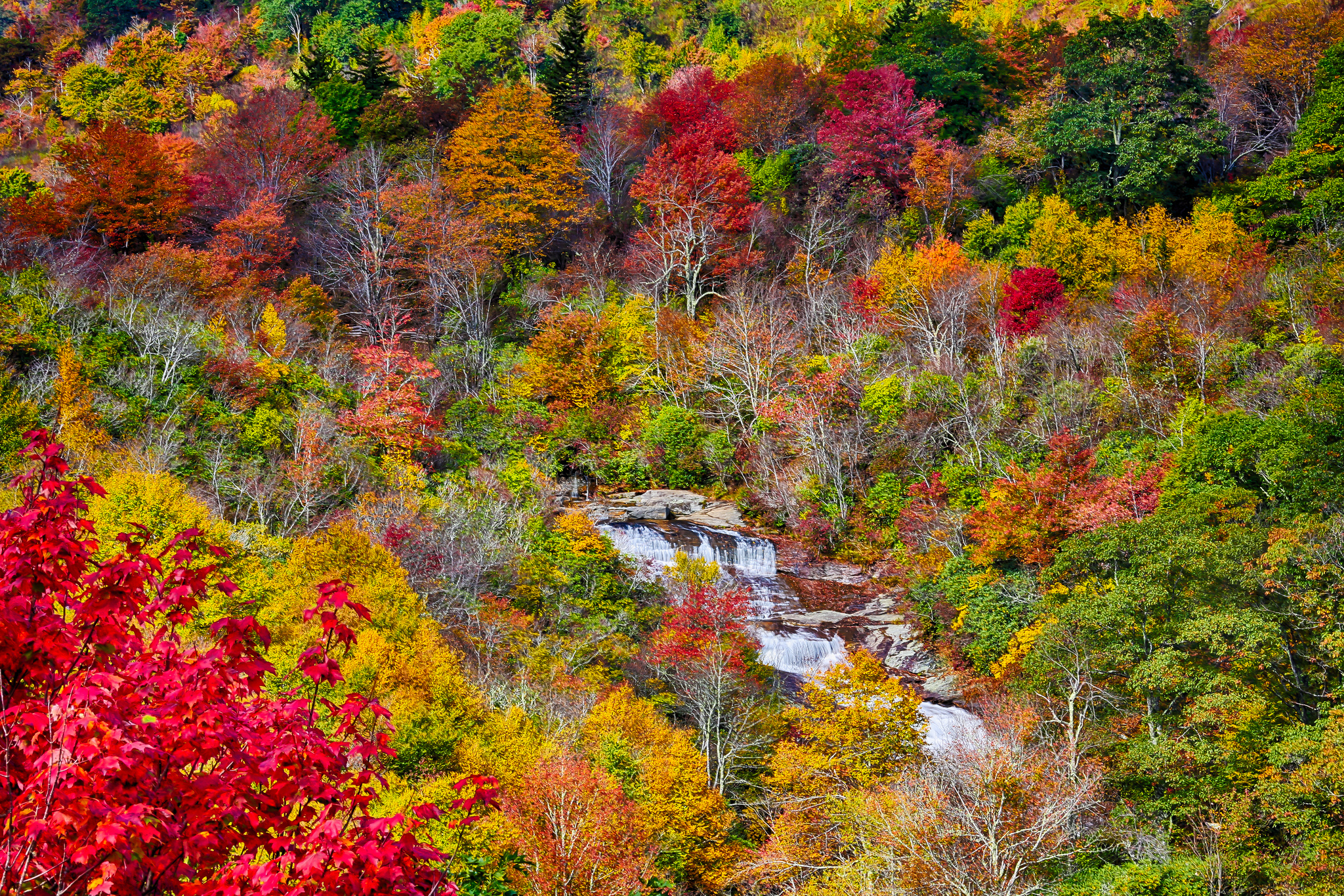 Handy-Wallpaper Herbst, Erde/natur kostenlos herunterladen.