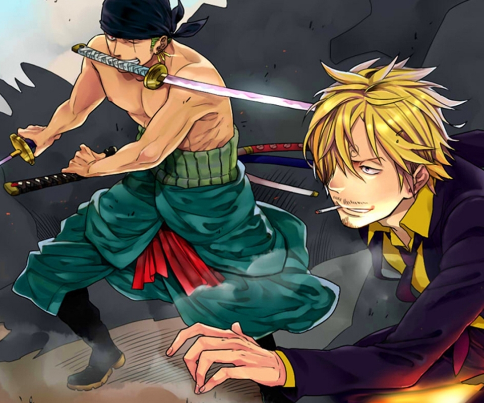 Baixar papel de parede para celular de Anime, One Piece, Roronoa Zoro, Sanji (One Piece) gratuito.