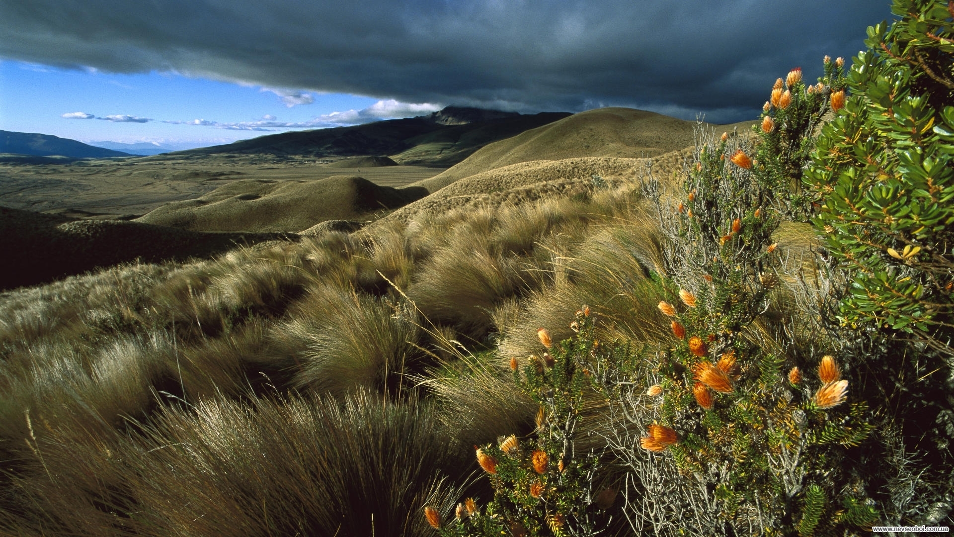 Free download wallpaper Landscape, Grass, Mountains, Clouds, Fields on your PC desktop