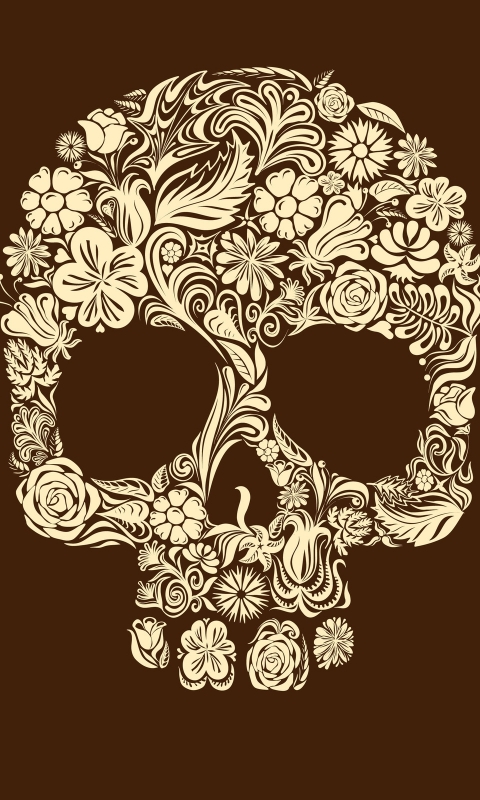 Download mobile wallpaper Dark, Skull for free.