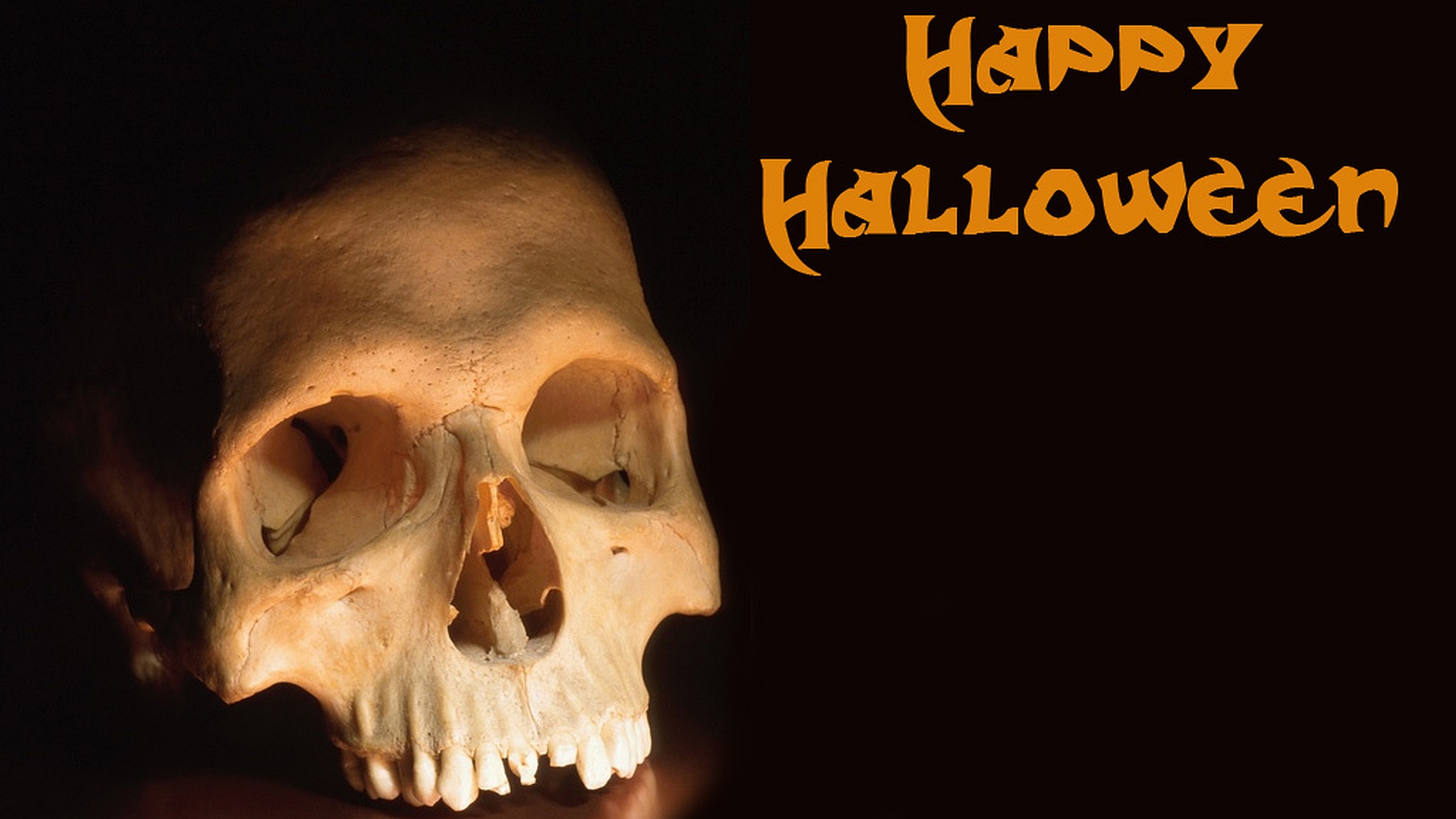 Download mobile wallpaper Halloween, Holiday for free.