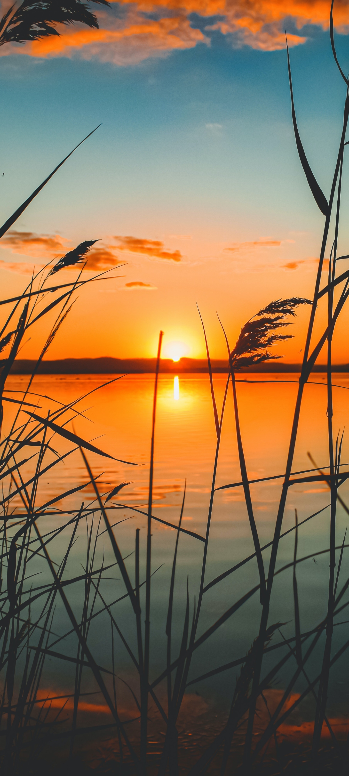 Descarga gratuita de fondo de pantalla para móvil de Naturaleza, Lago, Atardecer, Tierra/naturaleza.