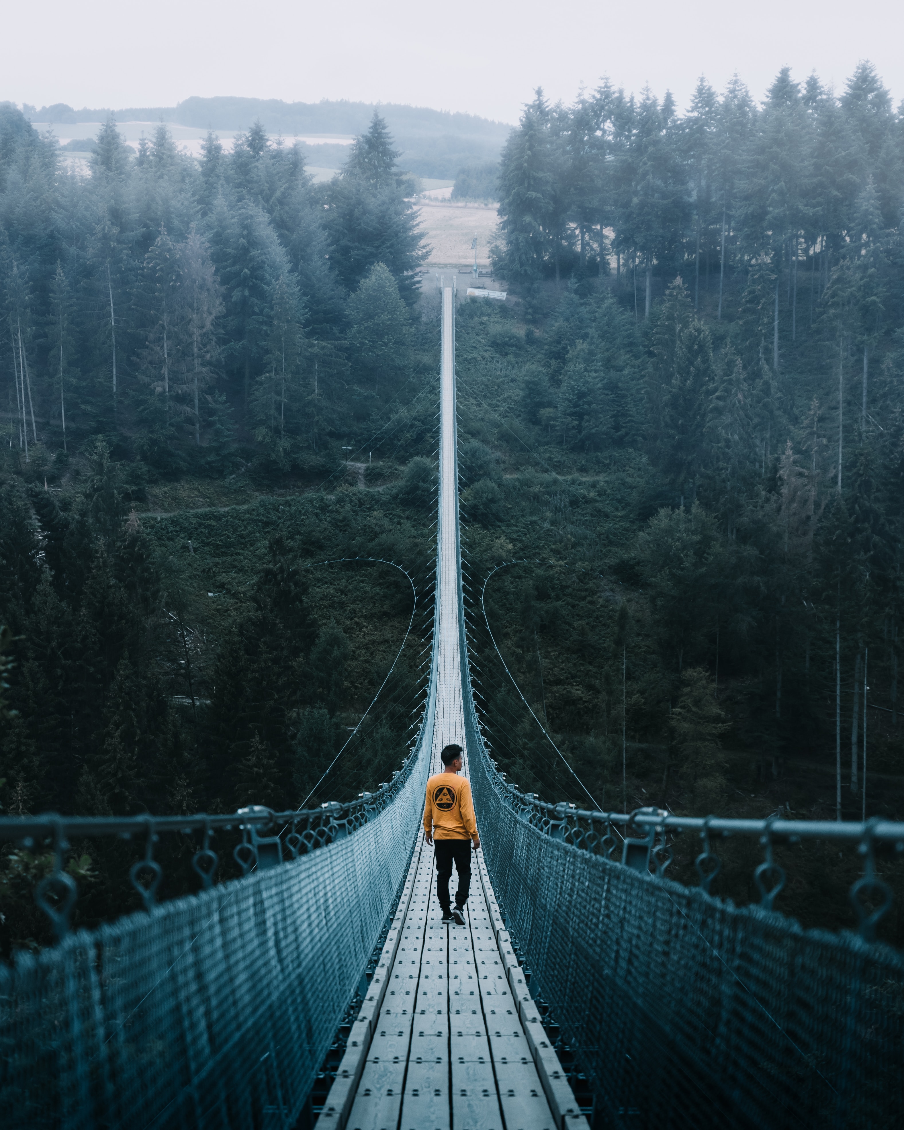 nature, loneliness, miscellanea, miscellaneous, bridge, human, person, rope bridge, cable bridge