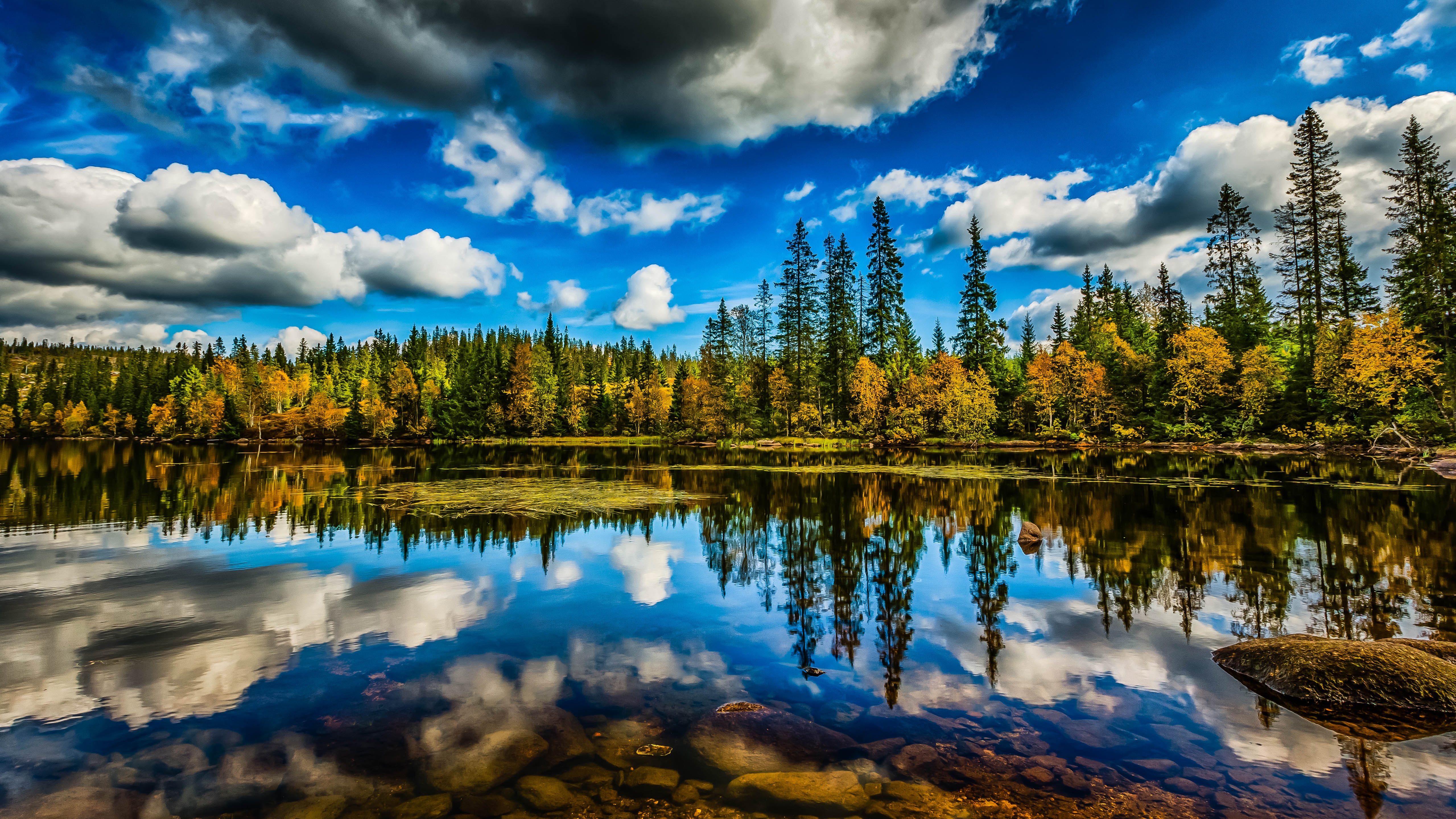 Download mobile wallpaper Nature, Sky, Lake, Reflection, Forest, Earth, Cloud, Scenic for free.