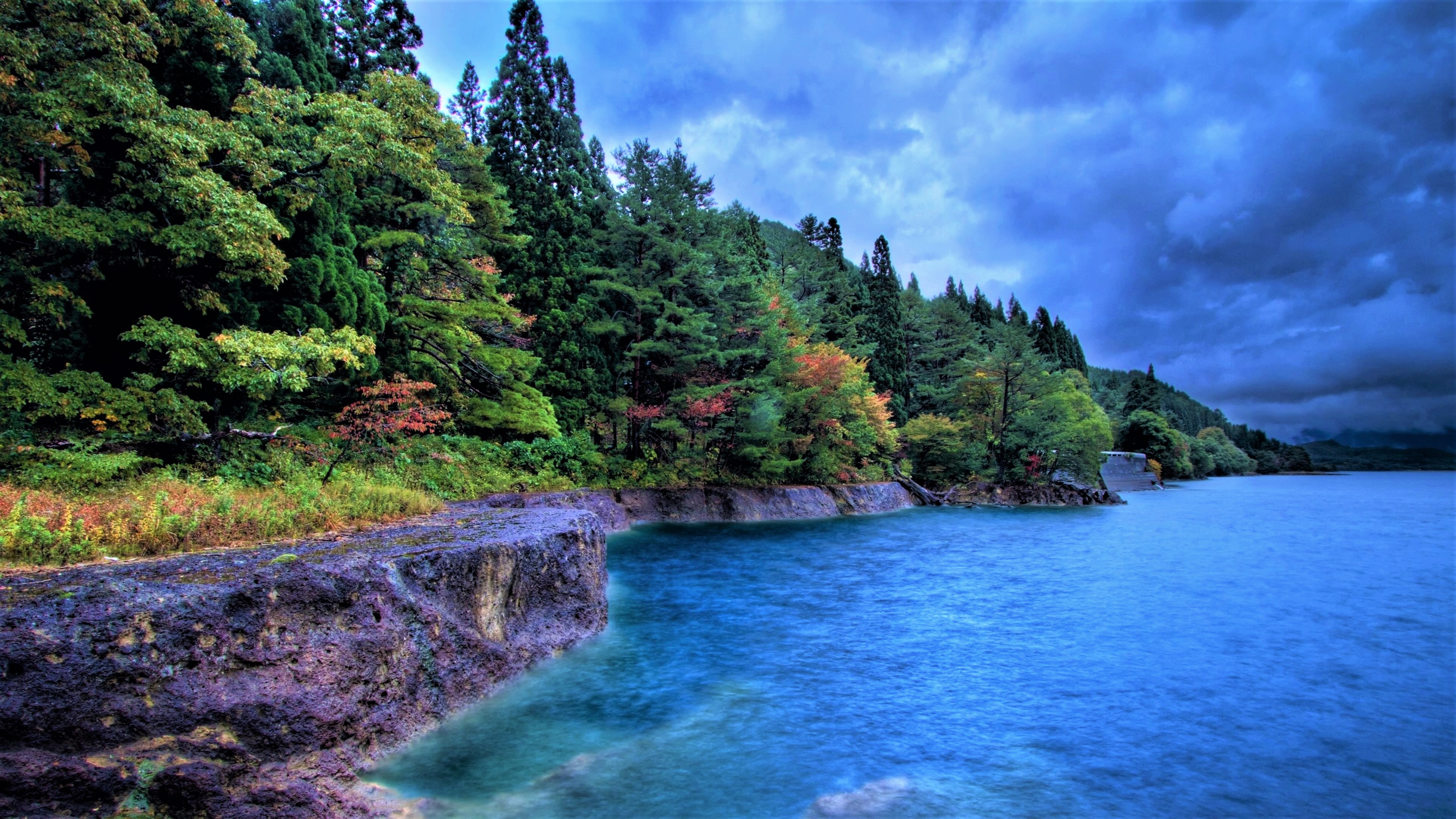 Free download wallpaper Lake, Tree, Fall, Earth, Cloud, Coastline on your PC desktop