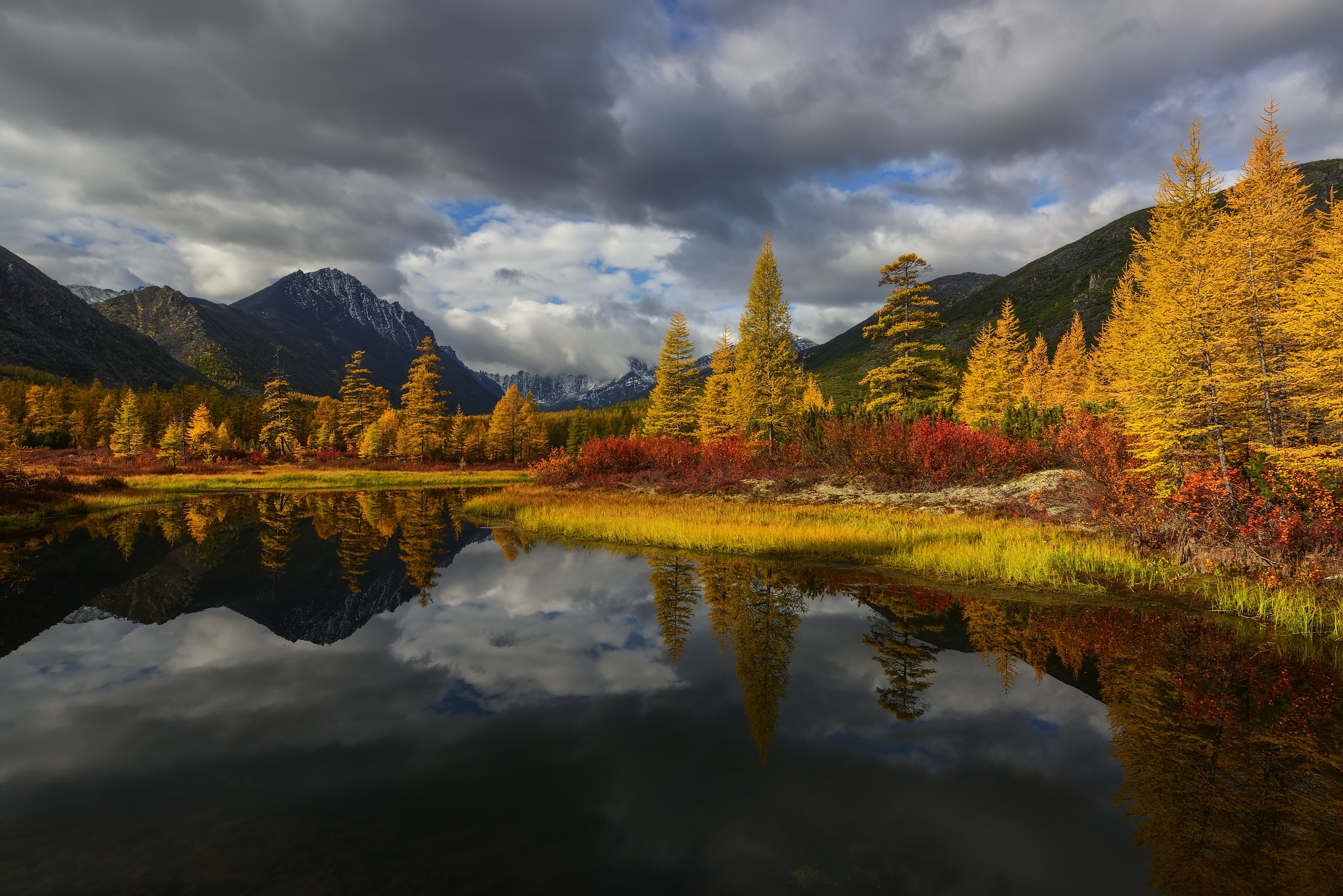 Descarga gratuita de fondo de pantalla para móvil de Otoño, Tierra/naturaleza, Reflejo.