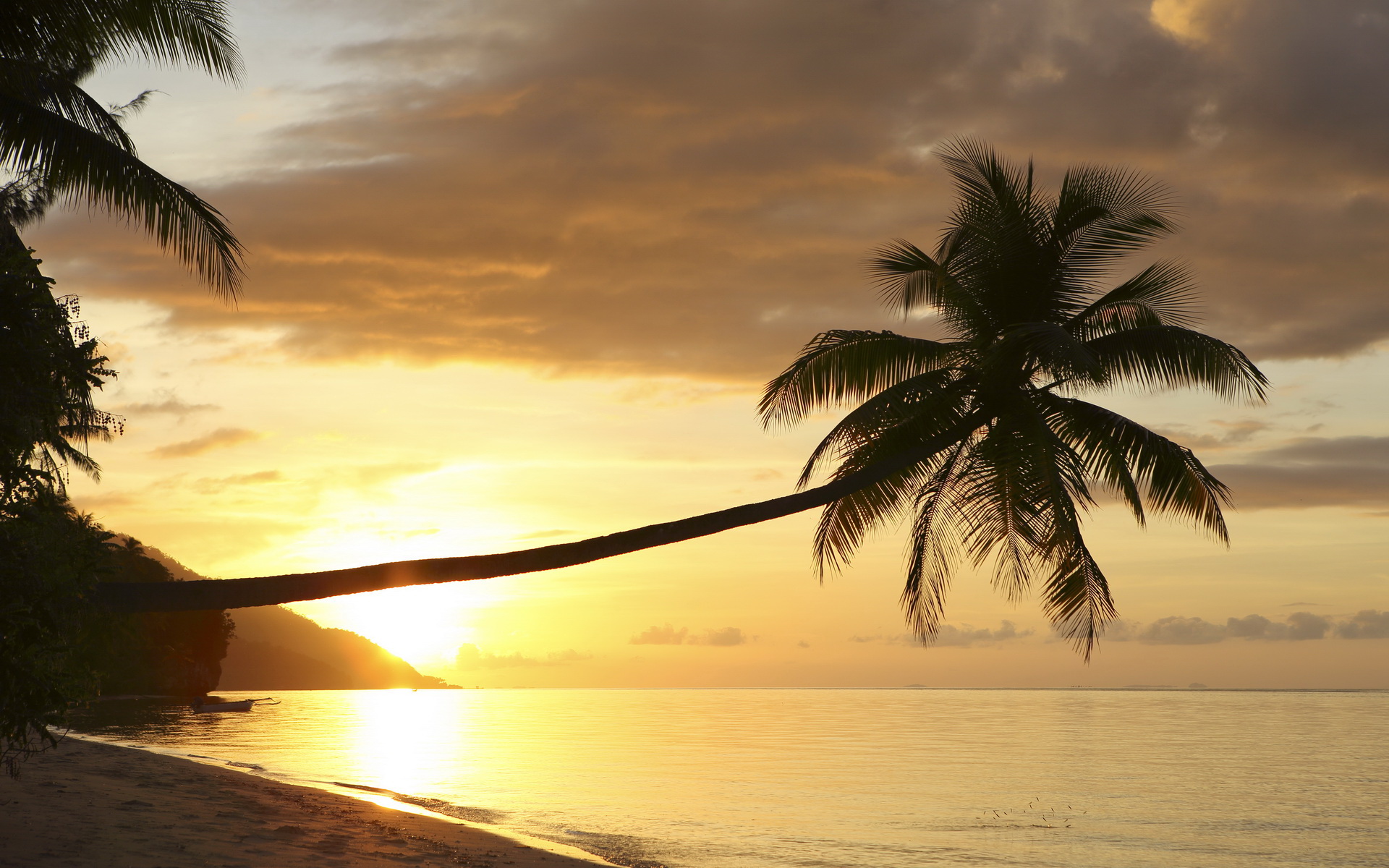 Descarga gratuita de fondo de pantalla para móvil de Playa, Tierra/naturaleza.