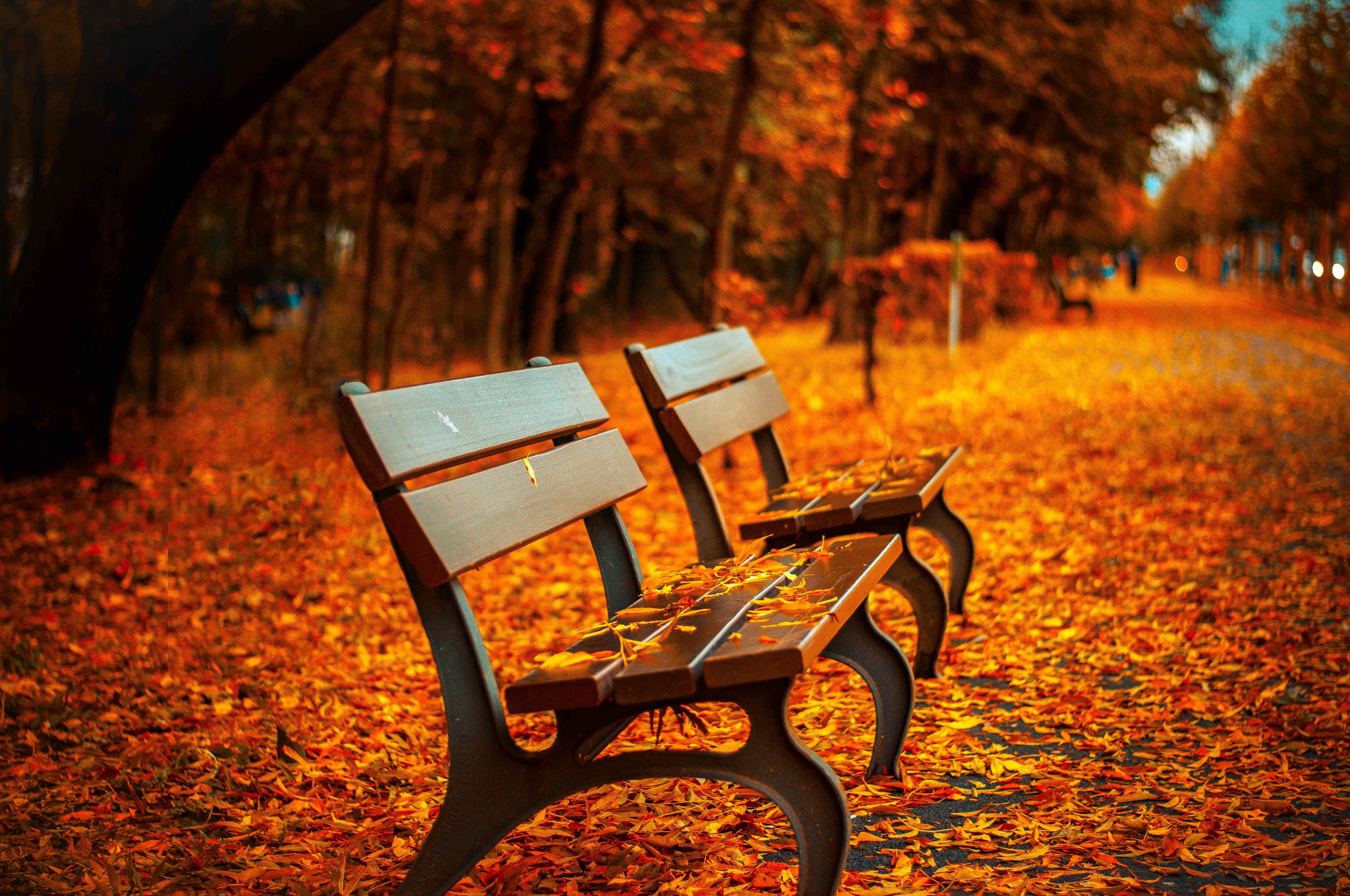 Скачать картинку Осень, Парк, Листва, Скамья, Сделано Человеком, Оранжевый Цвет) в телефон бесплатно.