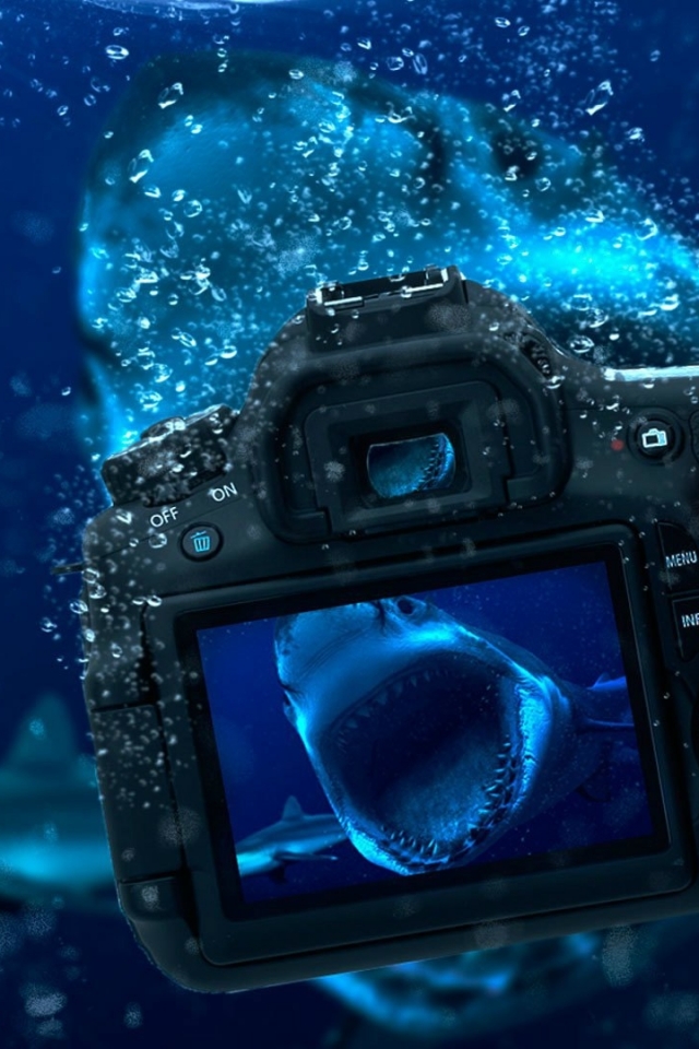 Download mobile wallpaper Hand, Camera, Underwater, Shark, Man Made, Manipulation for free.