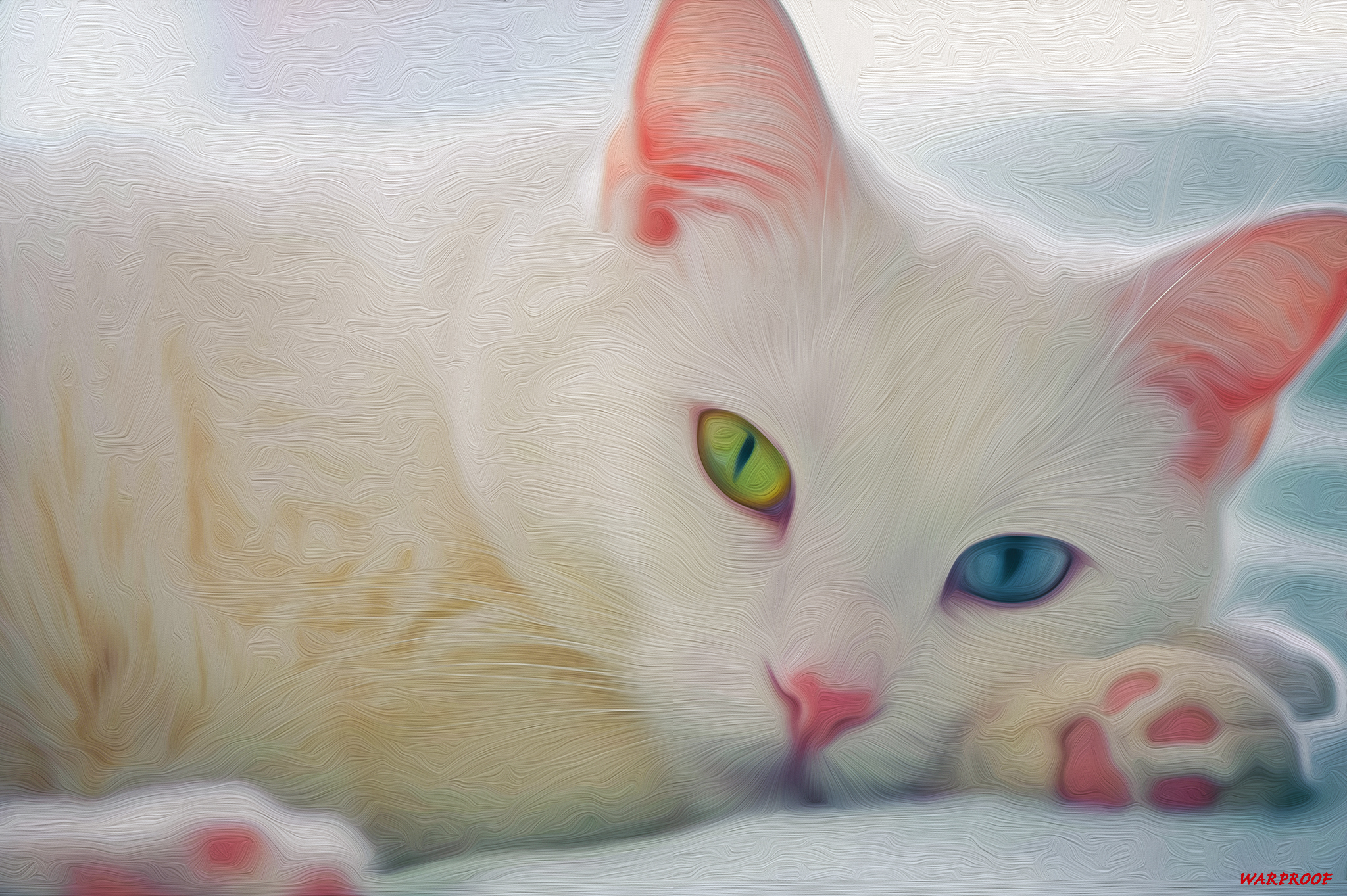 312823 descargar imagen gatos, animales, gatito, gato: fondos de pantalla y protectores de pantalla gratis