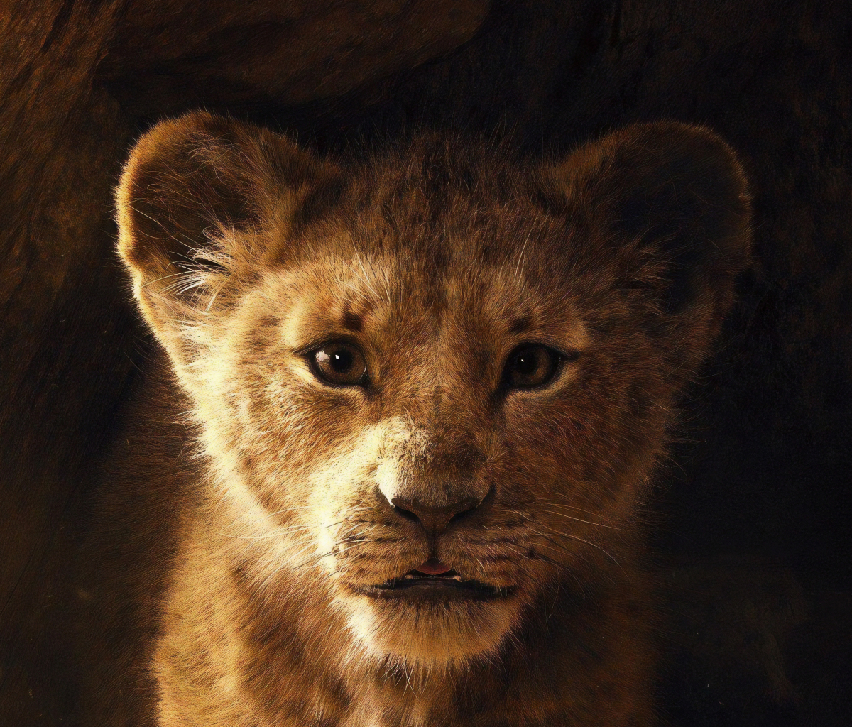 Descarga gratuita de fondo de pantalla para móvil de León, Películas, Simba, El Rey León (2019).
