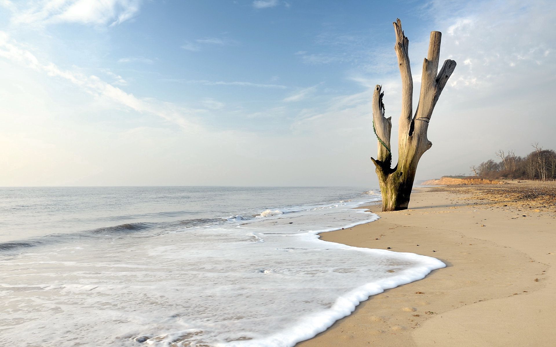 Laden Sie das Sea, Holz, Baum, Landschaft, Natur-Bild kostenlos auf Ihren PC-Desktop herunter