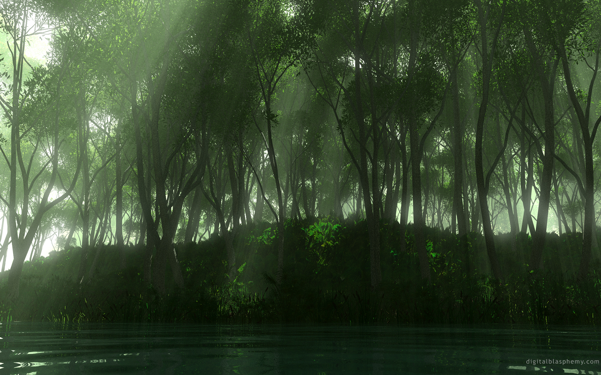 Baixe gratuitamente a imagem Rio, Floresta, Terra/natureza na área de trabalho do seu PC