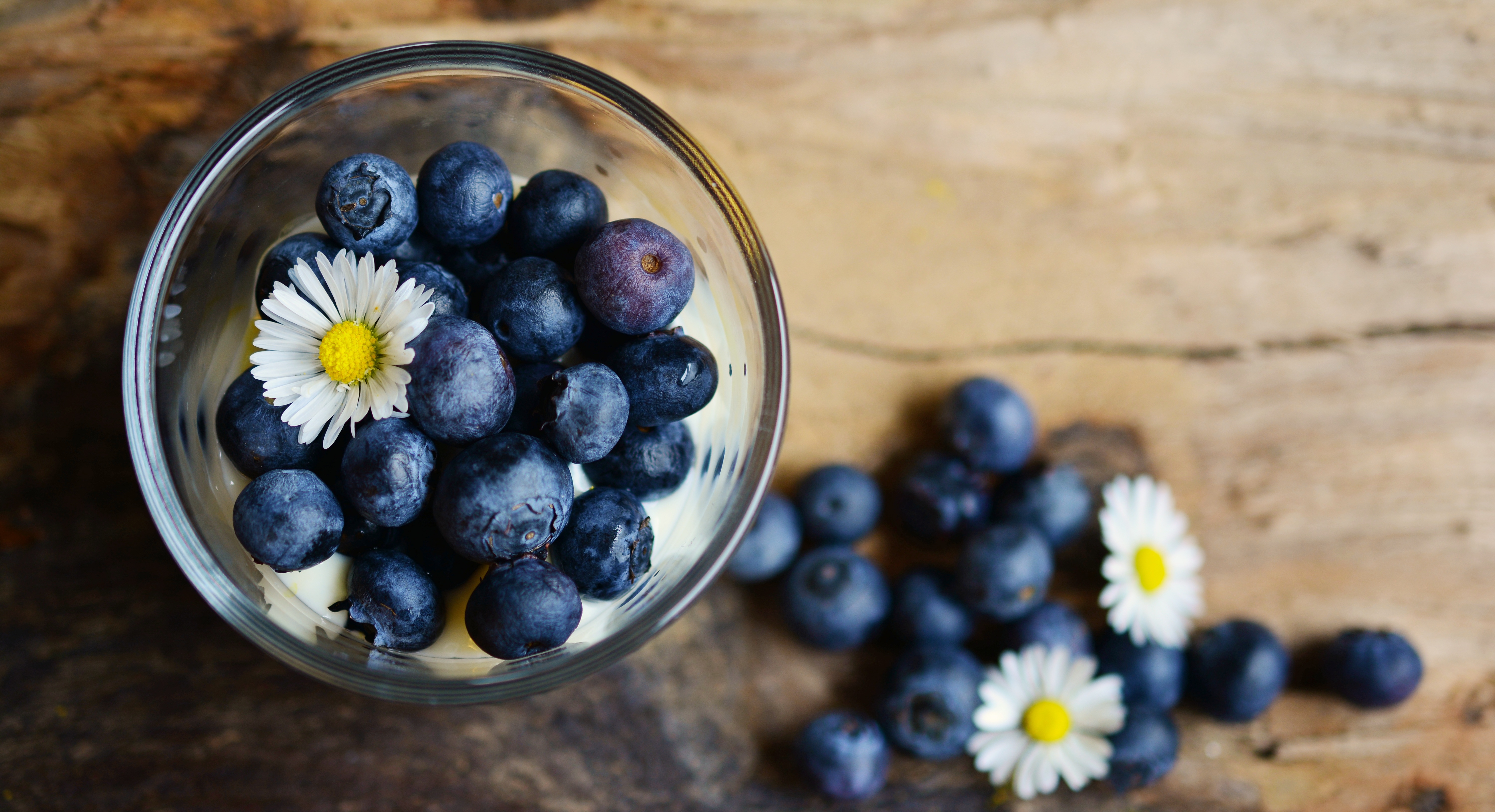 Free download wallpaper Food, Berries, Chamomile, Bilberries, Camomile on your PC desktop