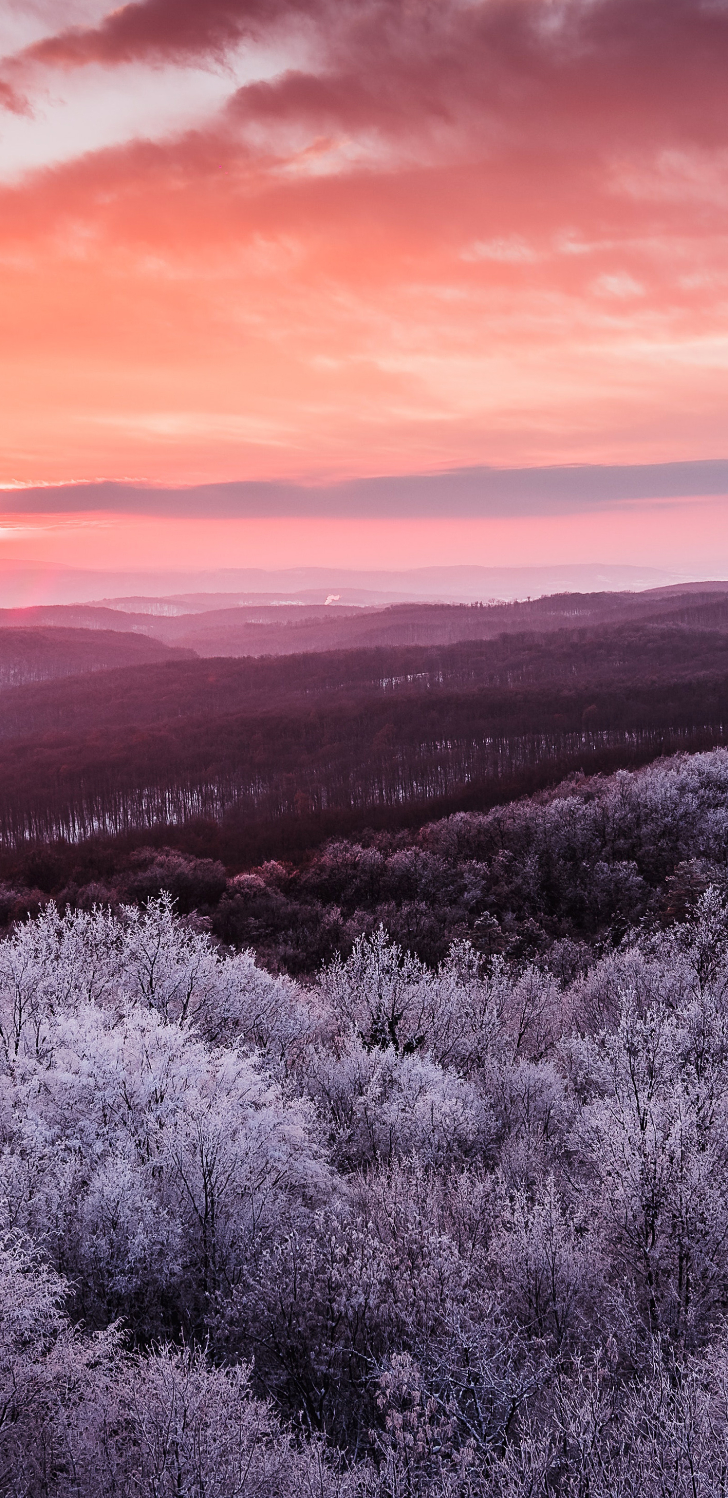 Descarga gratuita de fondo de pantalla para móvil de Paisaje, Amanecer, Bosque, Tierra/naturaleza, Escenario.