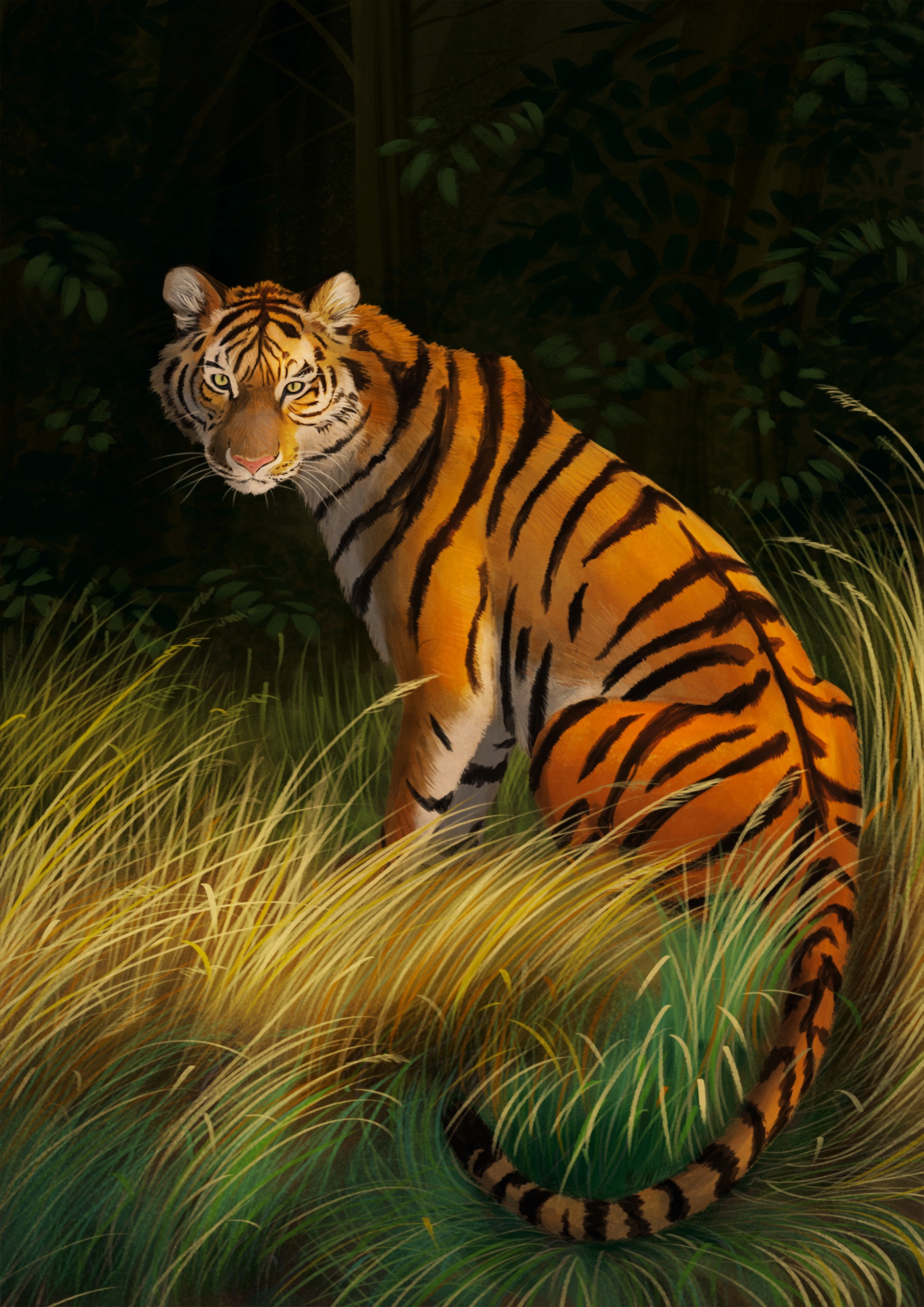 Free download wallpaper Grass, Striped, Predator, Tiger, Art on your PC desktop