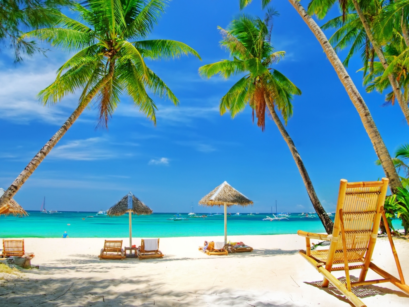 31040 descargar imagen playa, paisaje, palms: fondos de pantalla y protectores de pantalla gratis