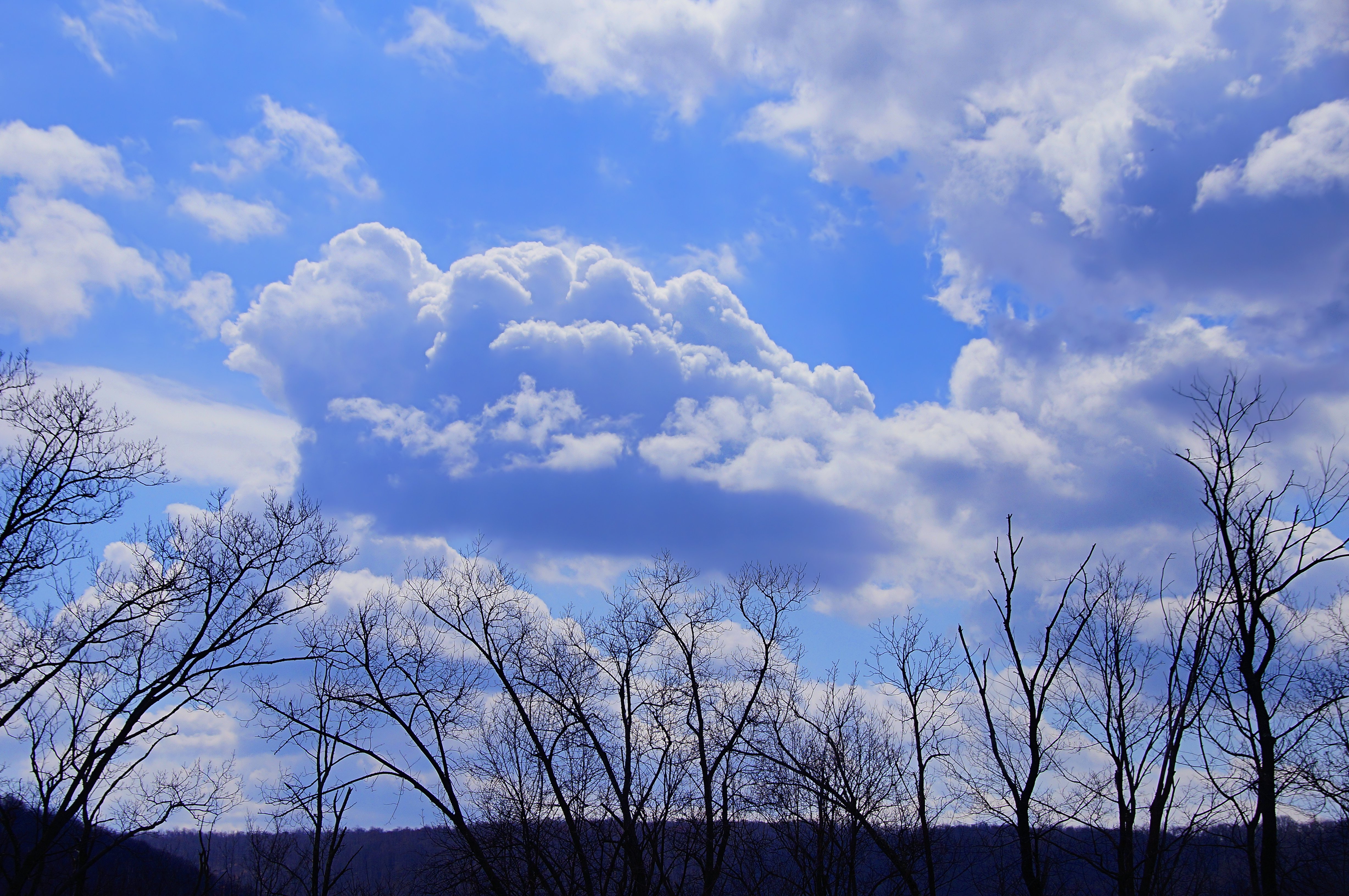 Завантажити шпалери безкоштовно Небо, Дерево, Синій, Земля, Хмара картинка на робочий стіл ПК