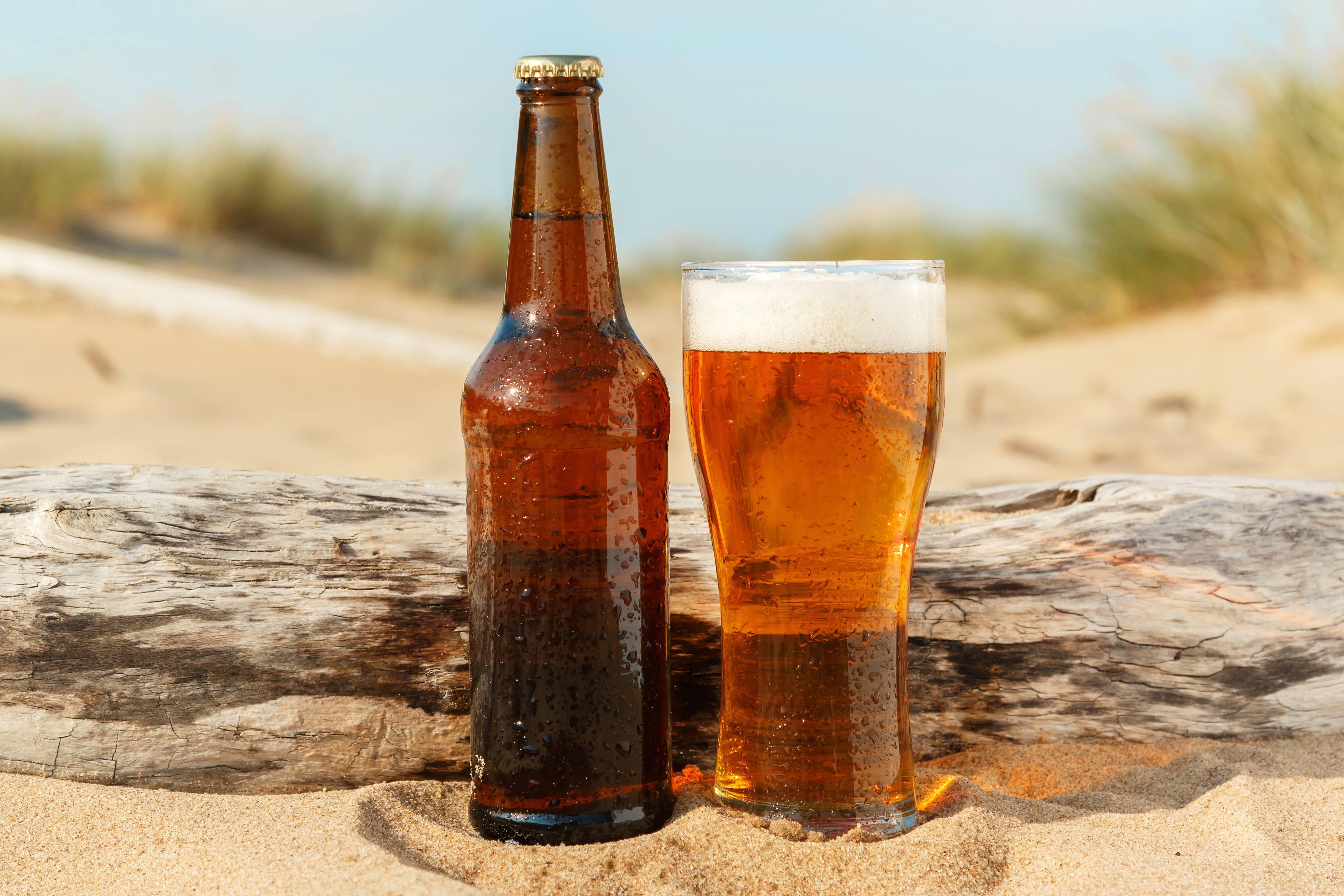 Laden Sie das Bier, Nahrungsmittel, Getränk, Alkohol-Bild kostenlos auf Ihren PC-Desktop herunter