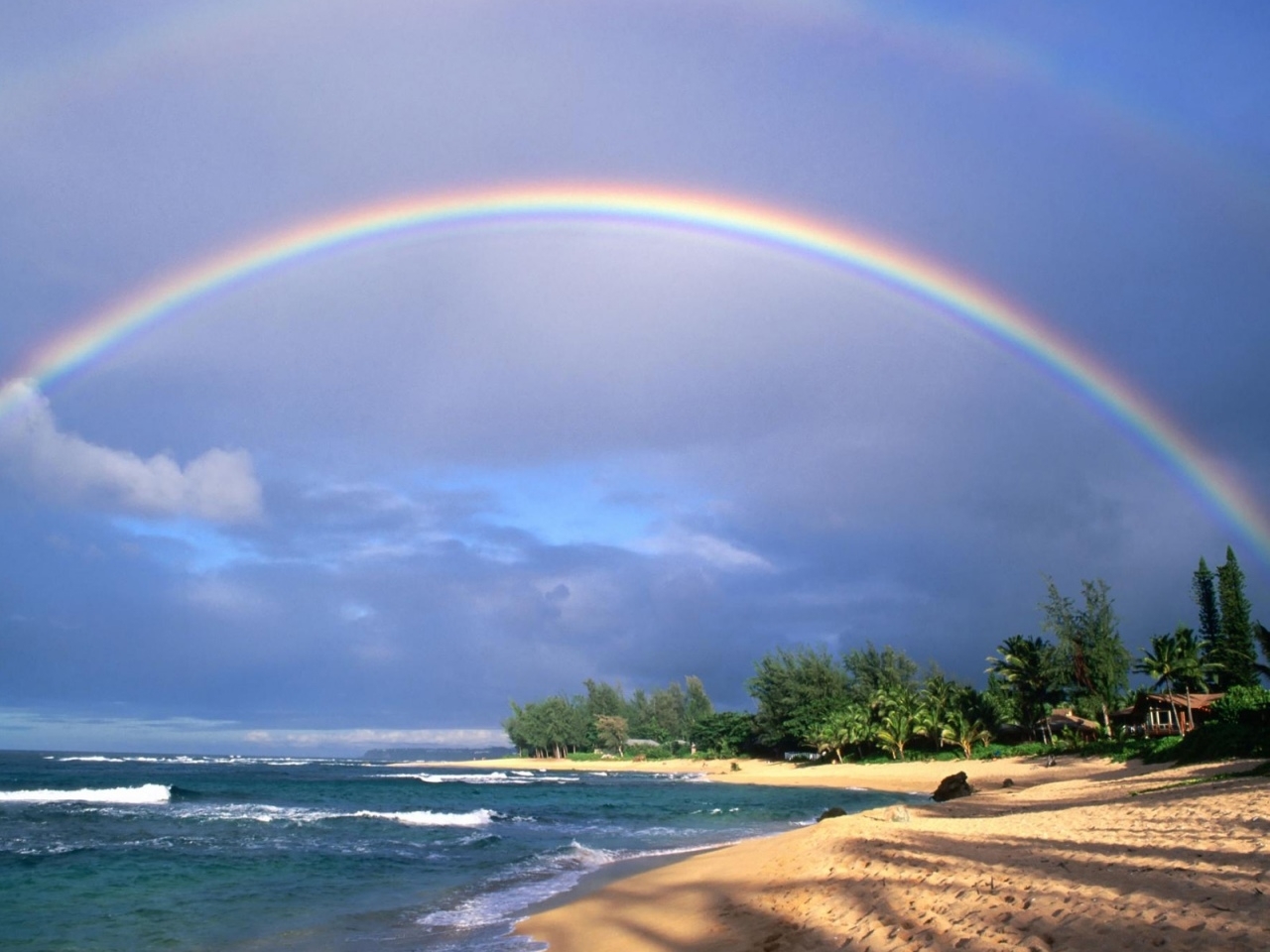 Rainbow Vertical Background