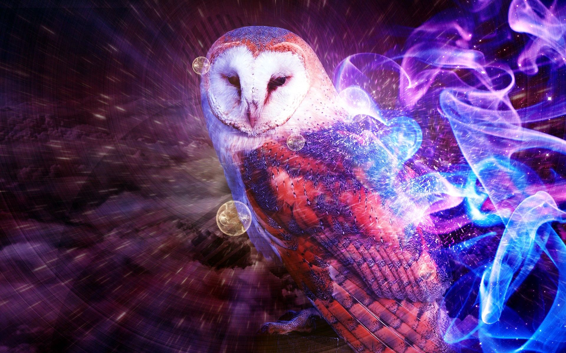 Download mobile wallpaper Owl, Motley, Fire, Multicolored, Smoke, Abstract for free.
