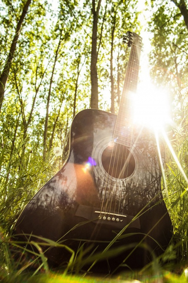 Download mobile wallpaper Music, Grass, Guitar, Sunbeam, Sunbean for free.