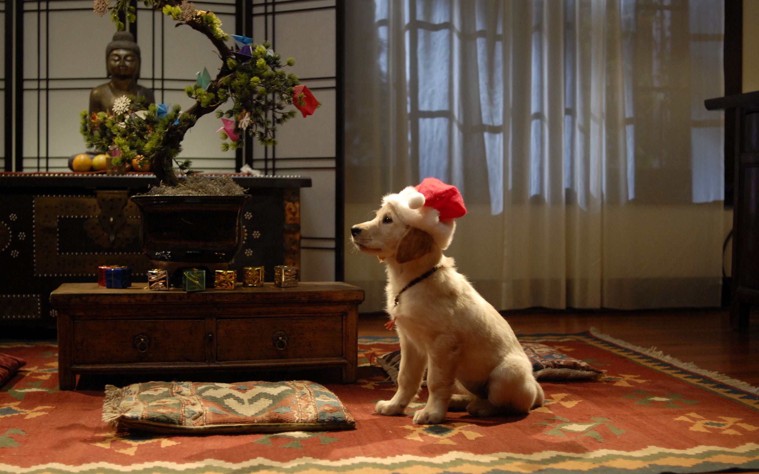 558119 скачать обои собака, лабрадор ретривер, кино, рождественская пятёрка, бонсай, рождество, шляпа санты - заставки и картинки бесплатно
