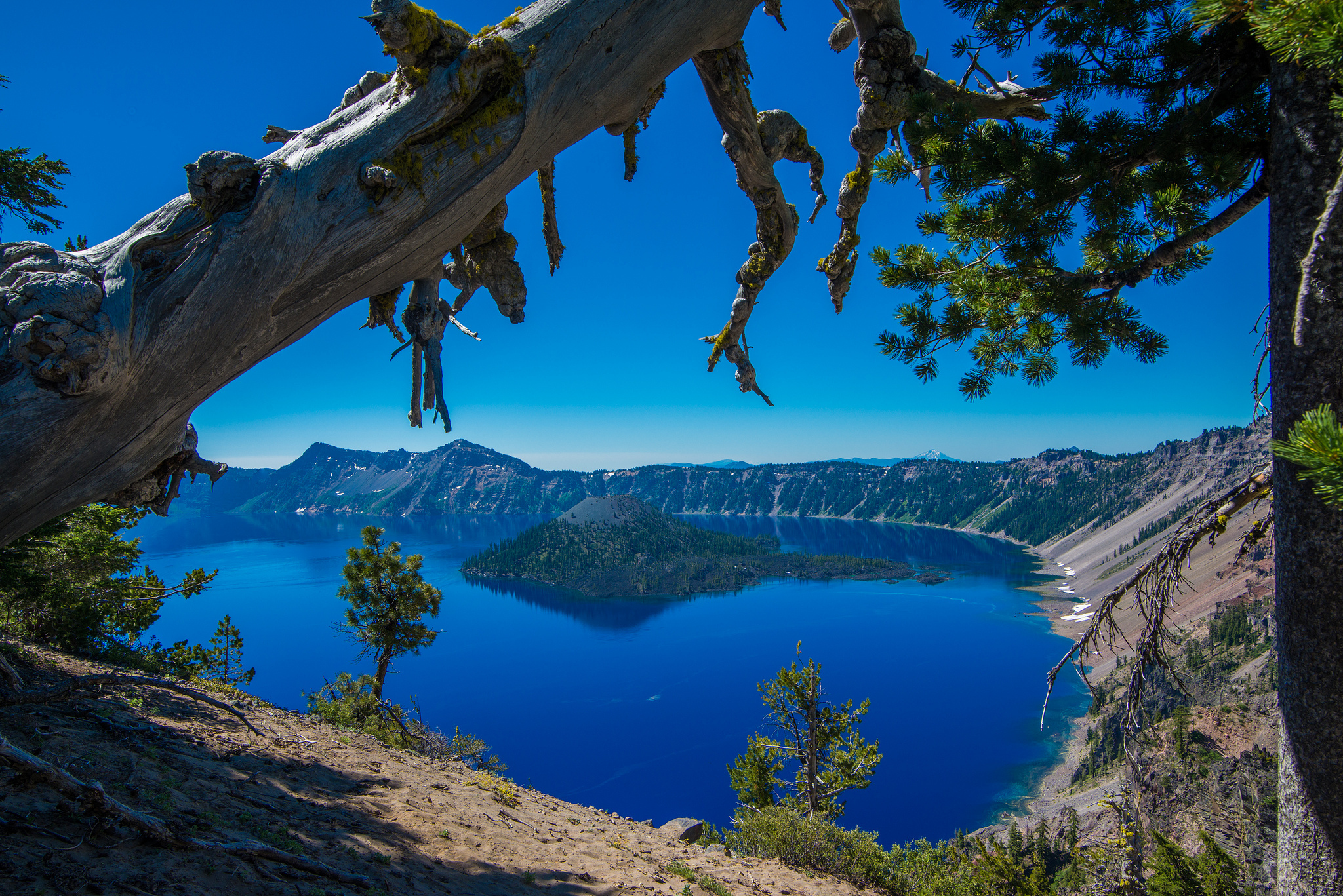 Скачать картинку Дерево, Остров, Орегон, Земля/природа, Национальный Парк Кратер Лейк, Кратерное Озеро в телефон бесплатно.