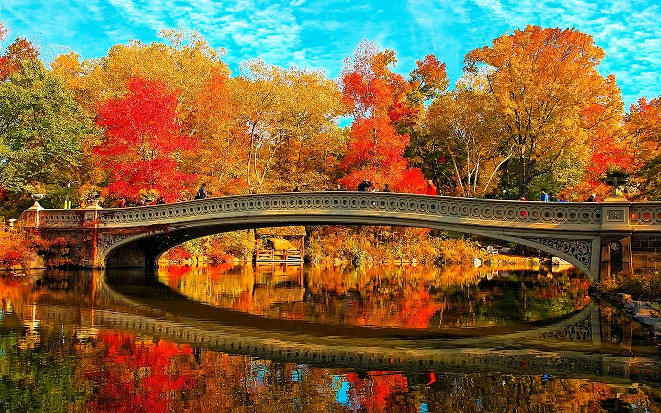Download mobile wallpaper Bow Bridge, Central Park, Bridge, Bridges, Manhattan, New York, Man Made, Fall, Tree, Reflection for free.