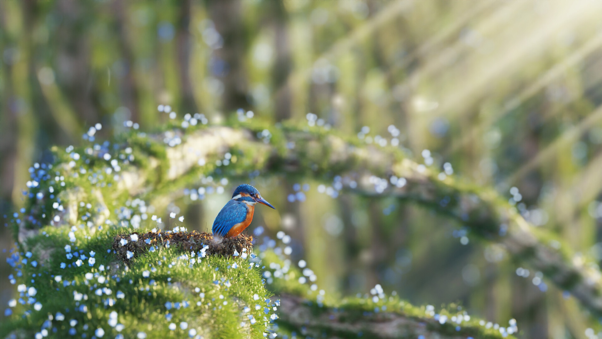 Download mobile wallpaper Birds, Animal, Kingfisher, Sunbeam for free.