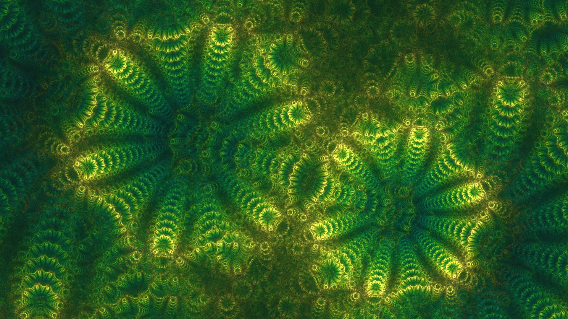 abstract, fractal, algae, green