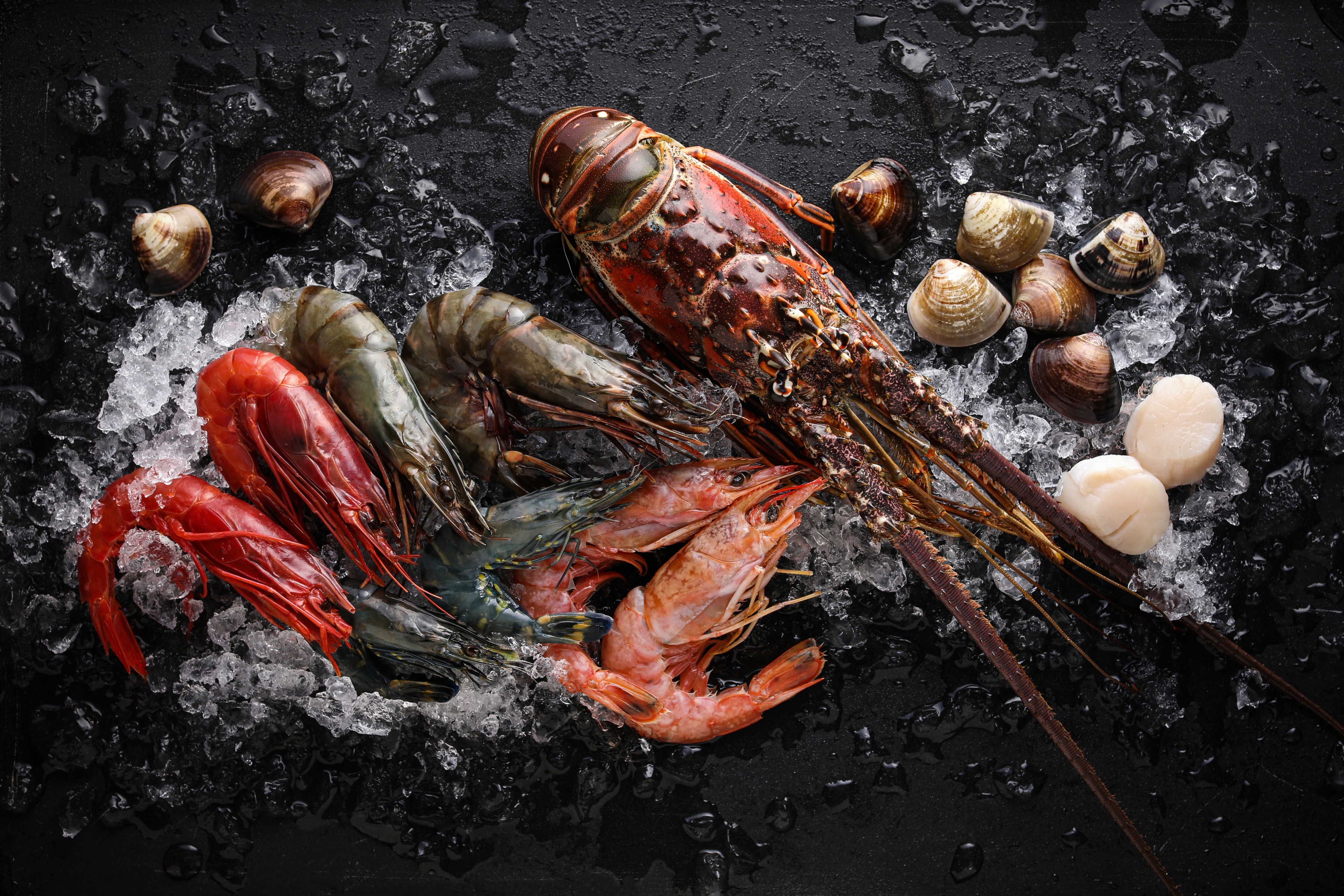 food, seafood, lobster, scallop, shrimp