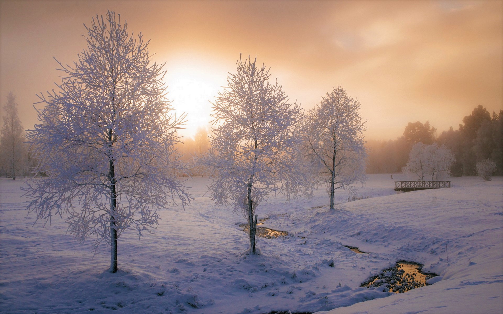 Download mobile wallpaper Winter, Sunset, Snow, Park, Tree, Fog, Photography for free.