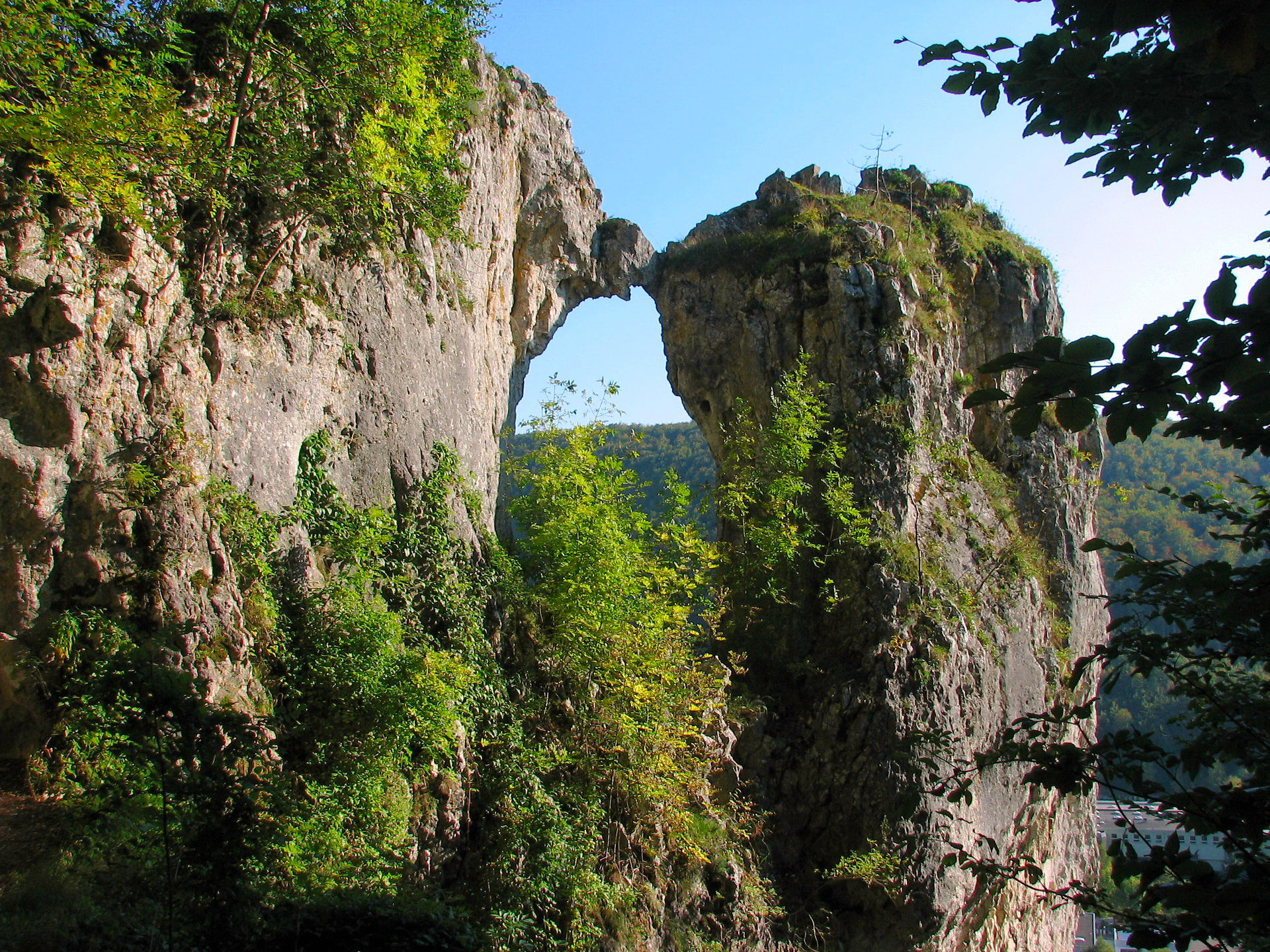 Téléchargez gratuitement l'image Paysage, Montagne, Forêt, Falaise, Scénique, Terre/nature sur le bureau de votre PC