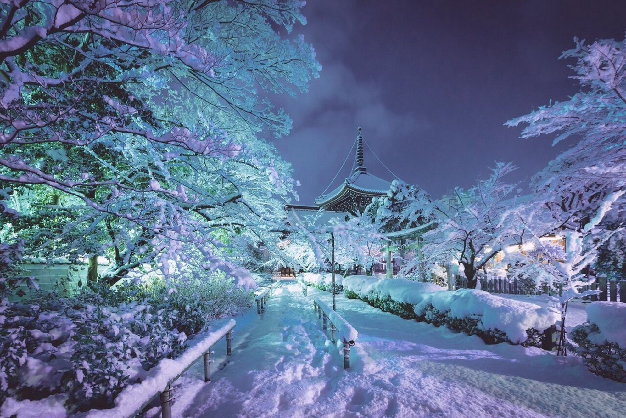 Baixe gratuitamente a imagem Inverno, Neve, Prédio, Parque, Árvore, Fotografia na área de trabalho do seu PC