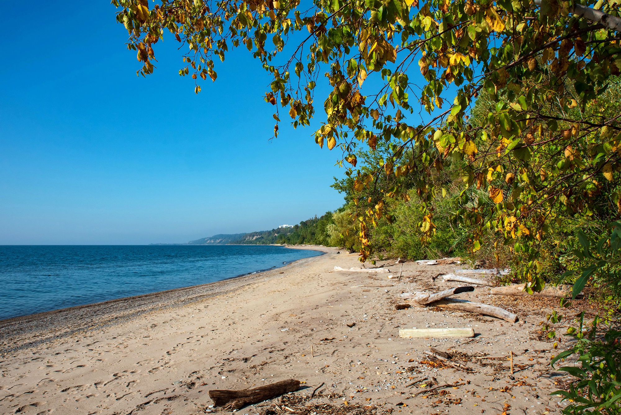 Free download wallpaper Nature, Beach, Earth, Coastline on your PC desktop