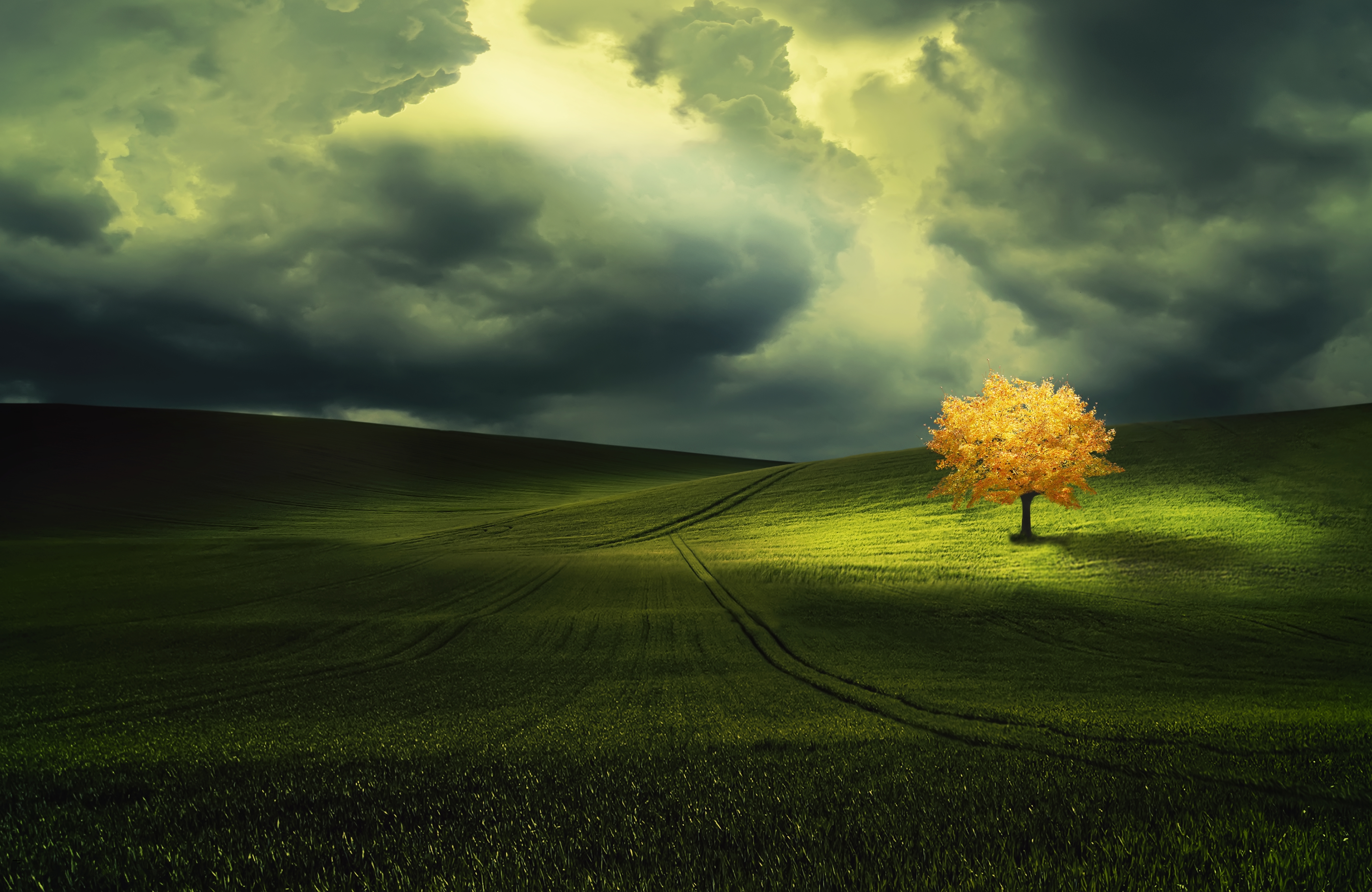 Download mobile wallpaper Trees, Tree, Fall, Earth, Field, Cloud, Greenery, Lonely Tree for free.