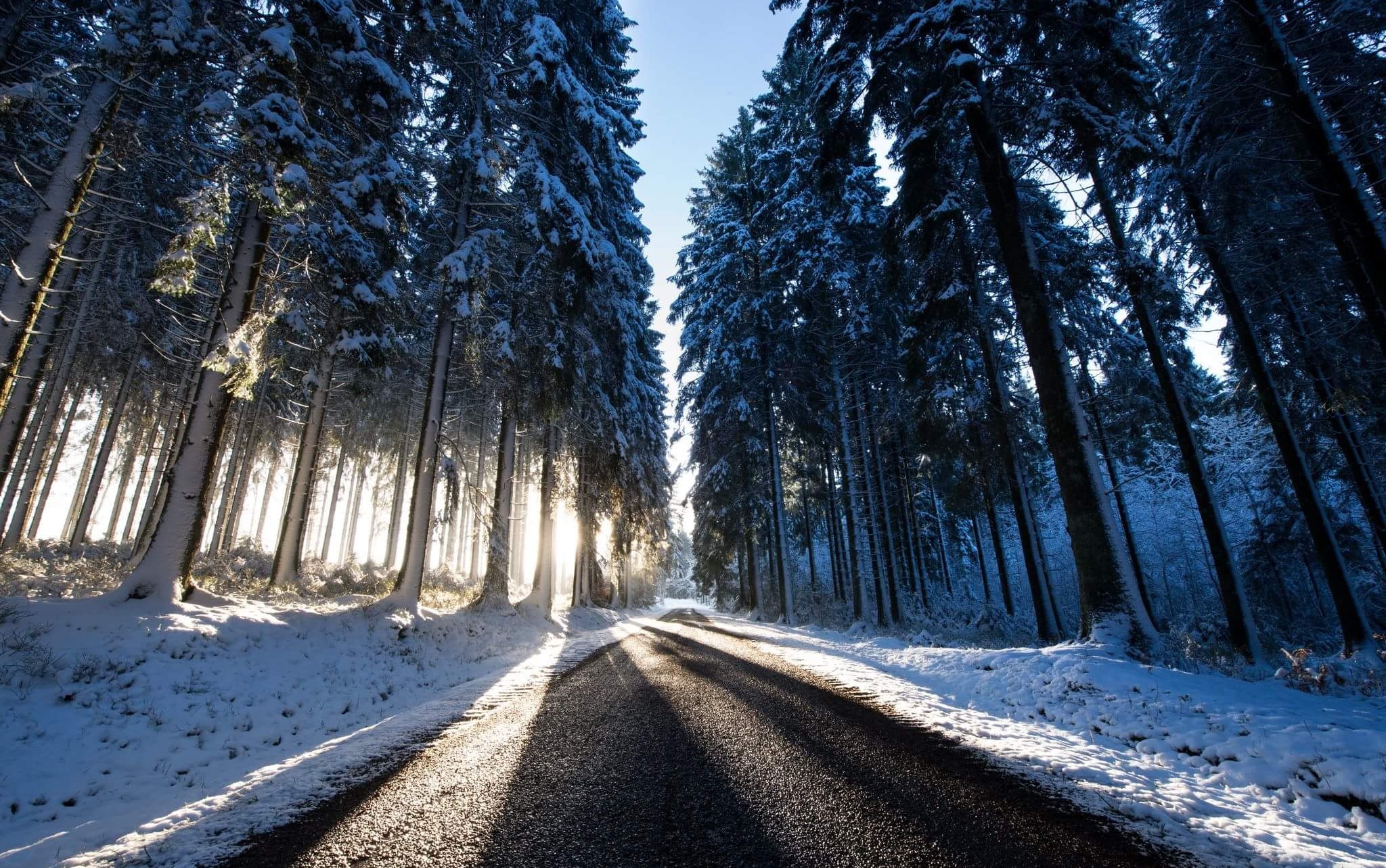 Download mobile wallpaper Winter, Snow, Road, Man Made, Pine Tree for free.