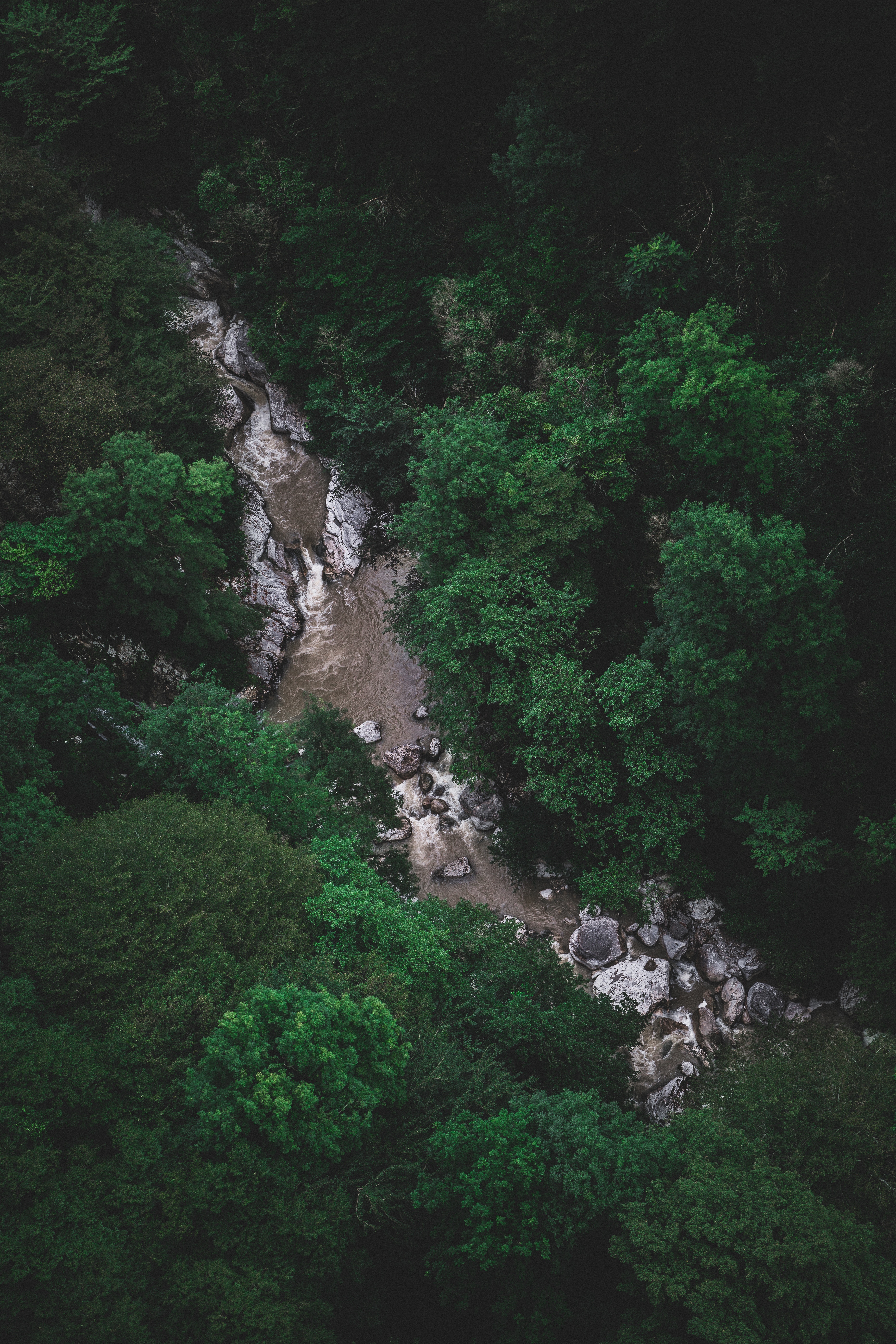 nature, rivers, trees, stones, view from above, flow