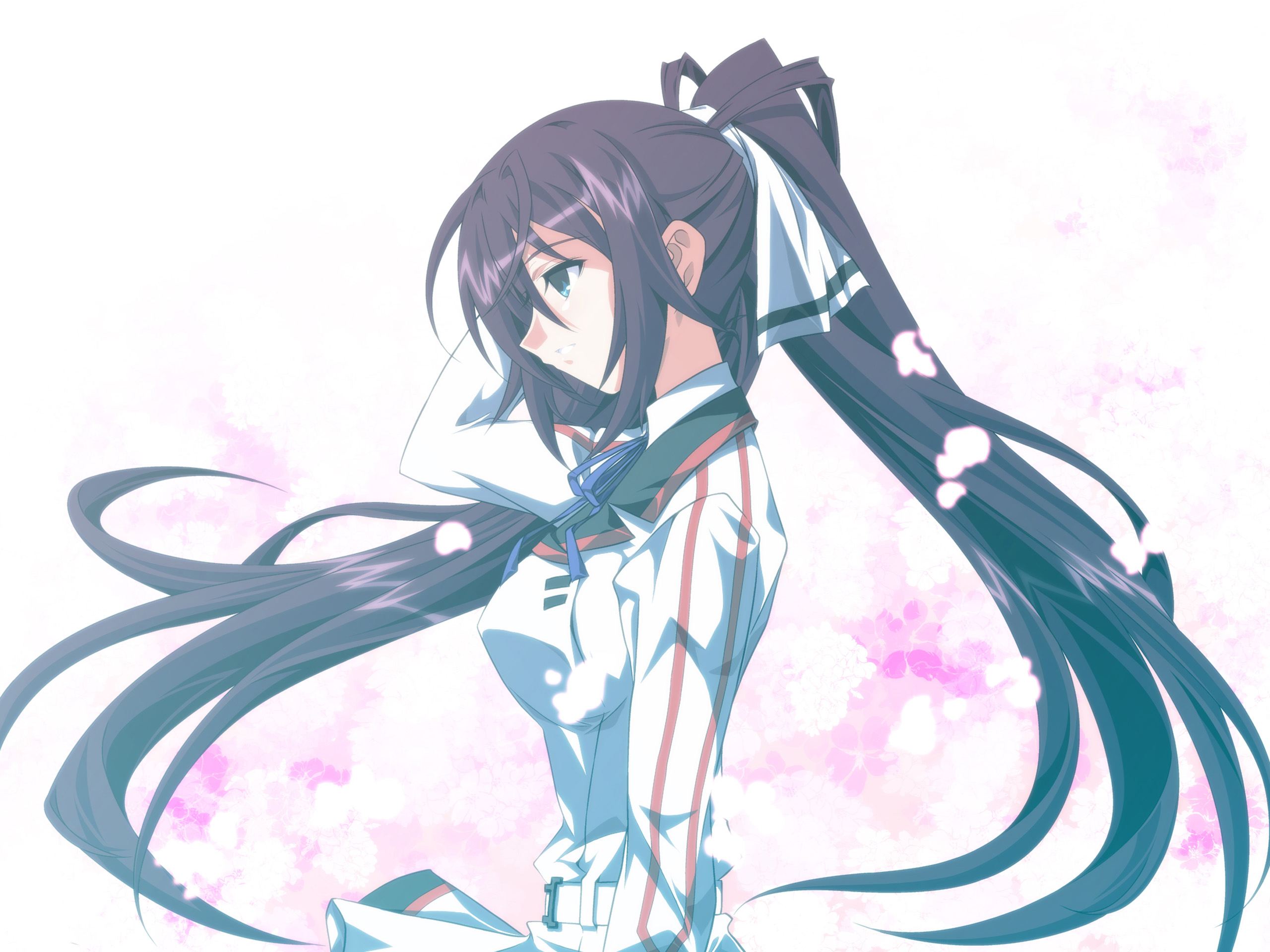 Free download wallpaper Anime, Infinite Stratos on your PC desktop