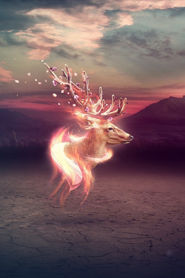 Download mobile wallpaper Sky, Animal, Deer for free.