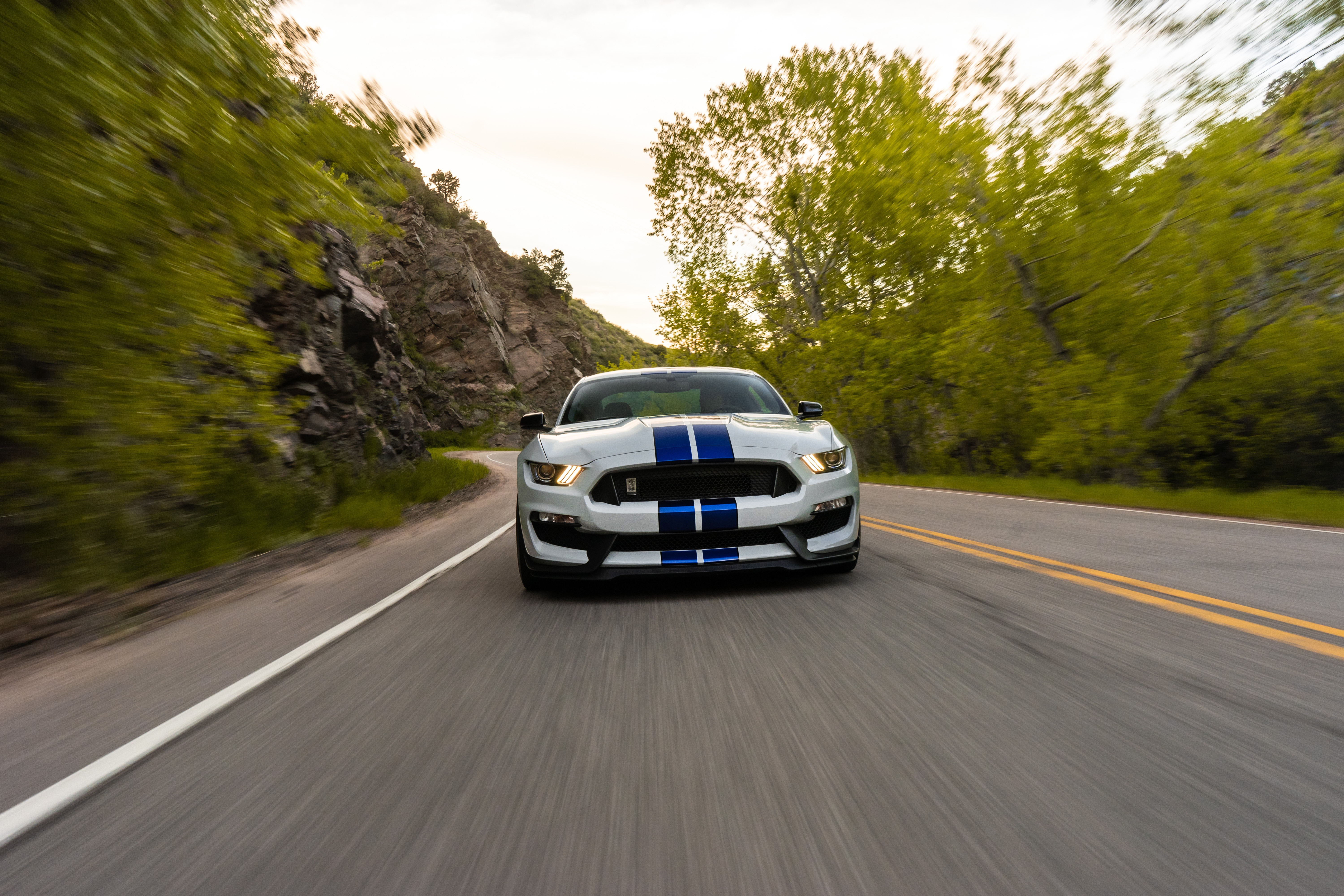 cars, sports car, car, road, speed, ford mustang gt350, sports, ford, machine