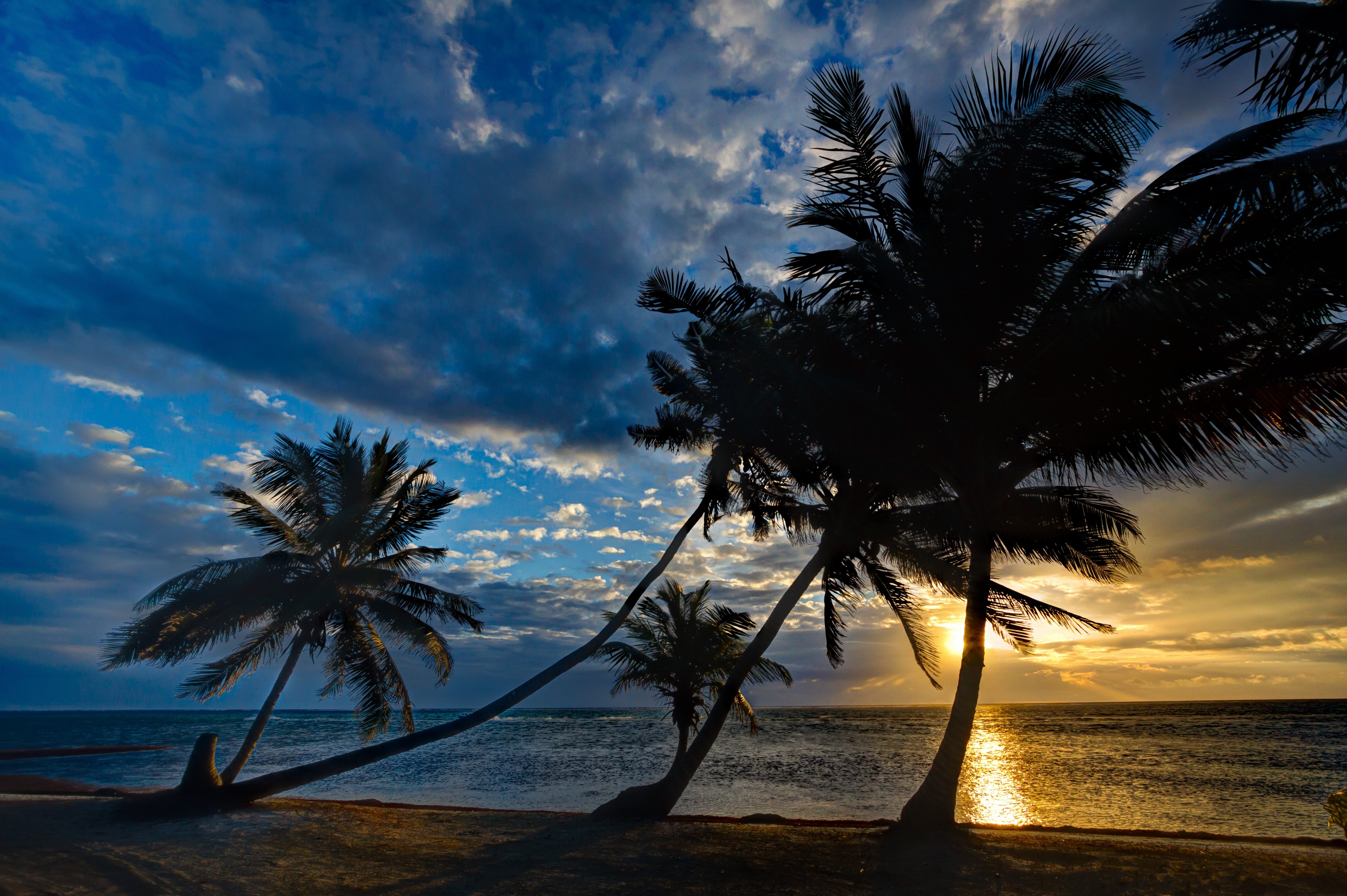Download mobile wallpaper Sunset, Sky, Horizon, Ocean, Earth, Tropics, Cloud, Palm Tree for free.