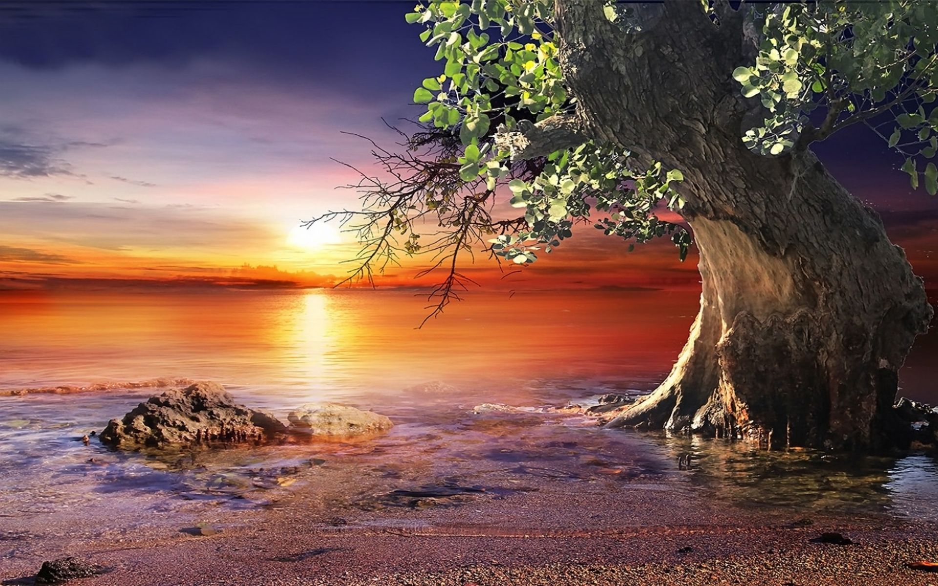 Free download wallpaper Trees, Sea, Horizon, Coast, Tree, Ocean, Earth on your PC desktop