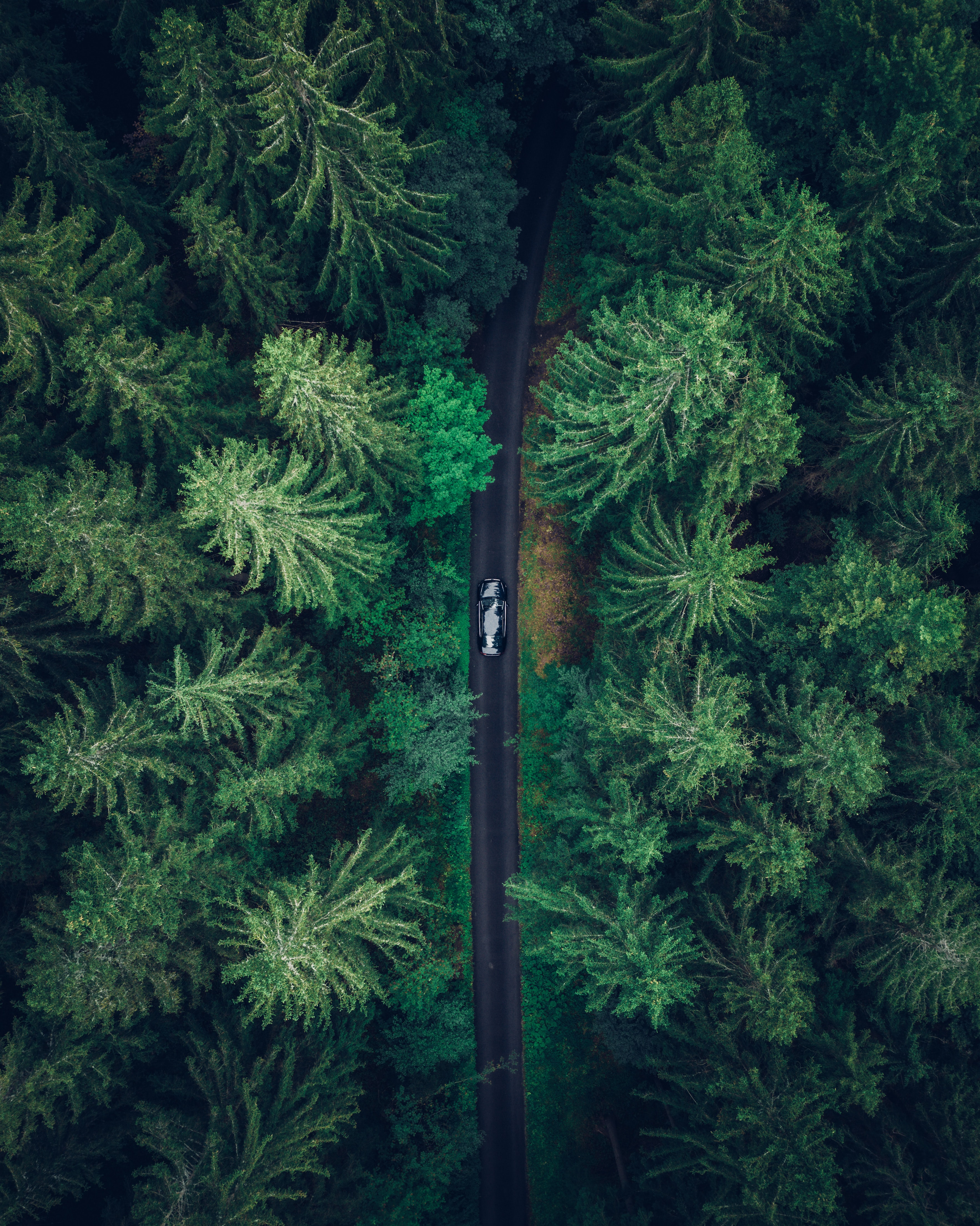 Download mobile wallpaper Forest, View From Above, Trees, Car, Nature, Machine for free.