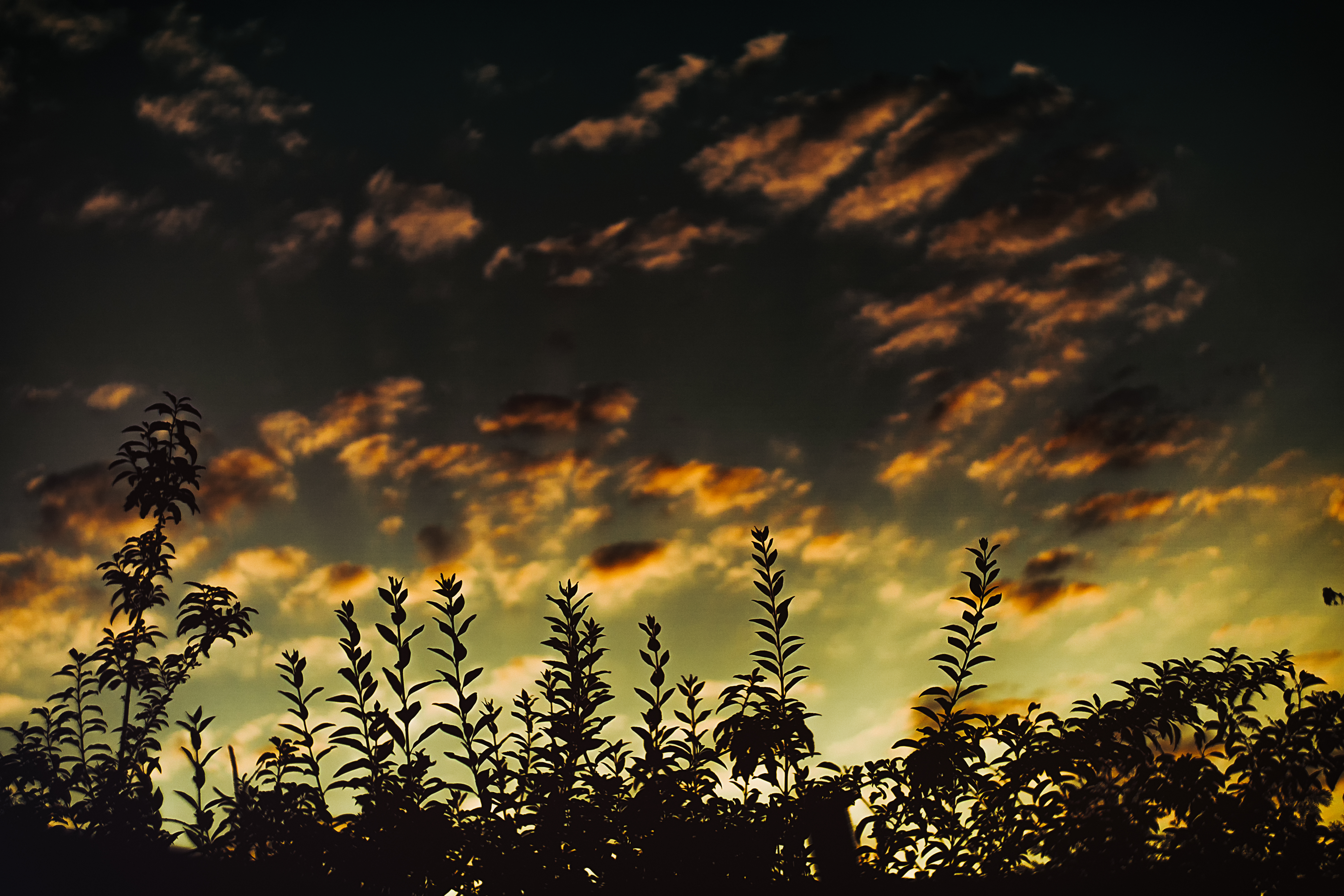 Download mobile wallpaper Grass, Clouds, Sunset, Nature, Dark for free.
