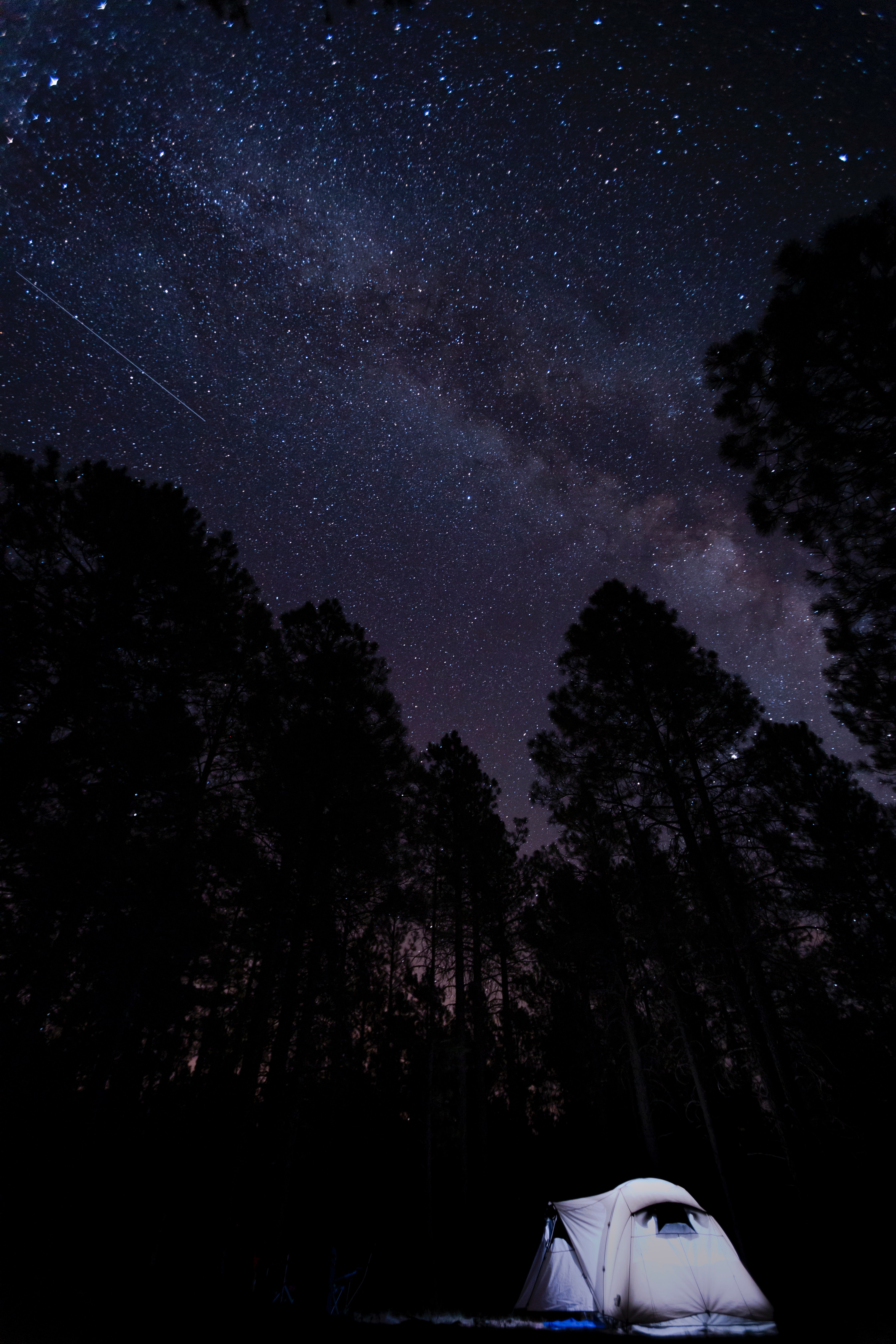 Download mobile wallpaper Trees, Starry Sky, Campsite, Night, Tent, Camping, Dark for free.