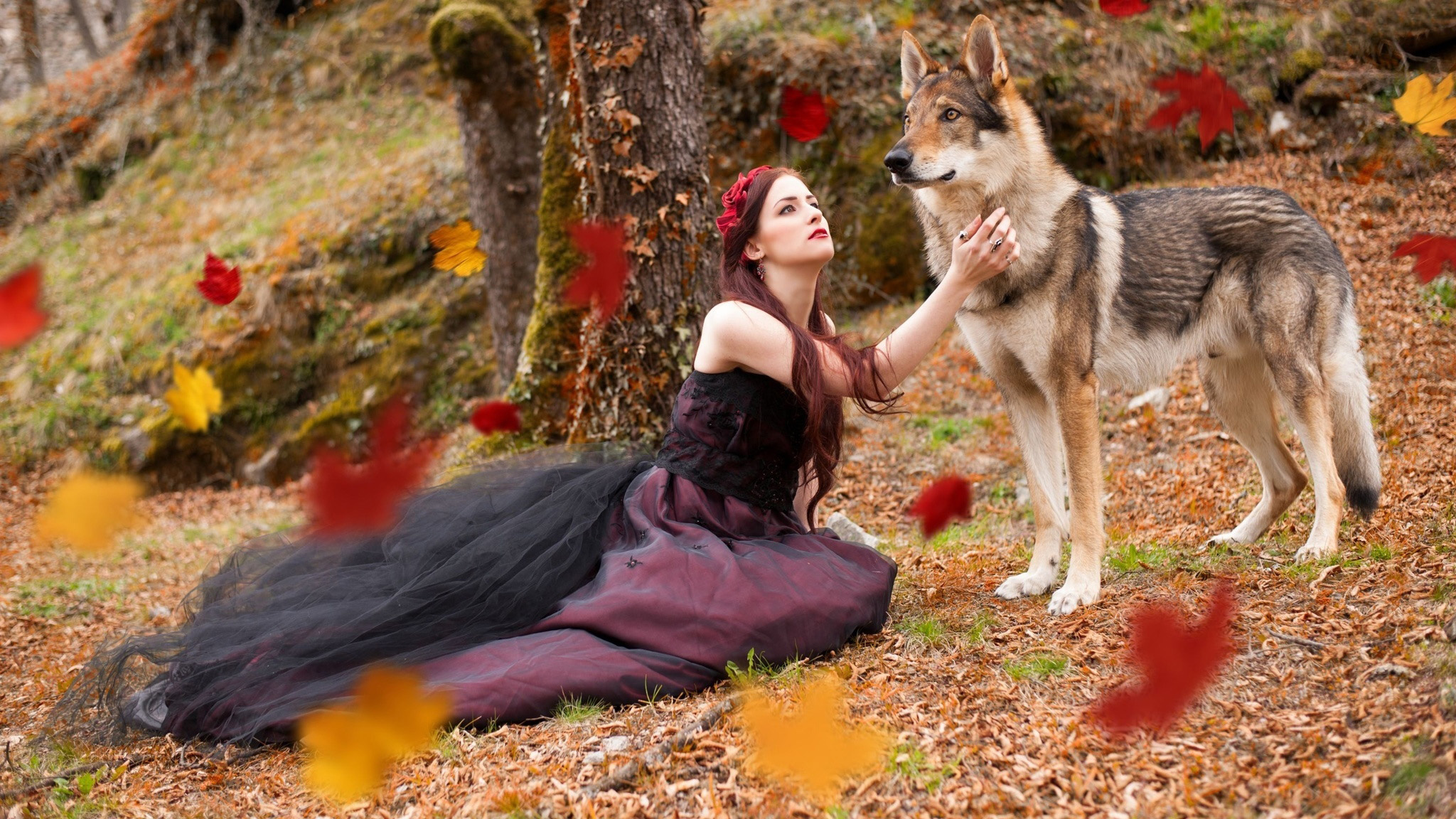 1021353 скачать картинку женщины, модель, чехословацкая волчья собака - обои и заставки бесплатно
