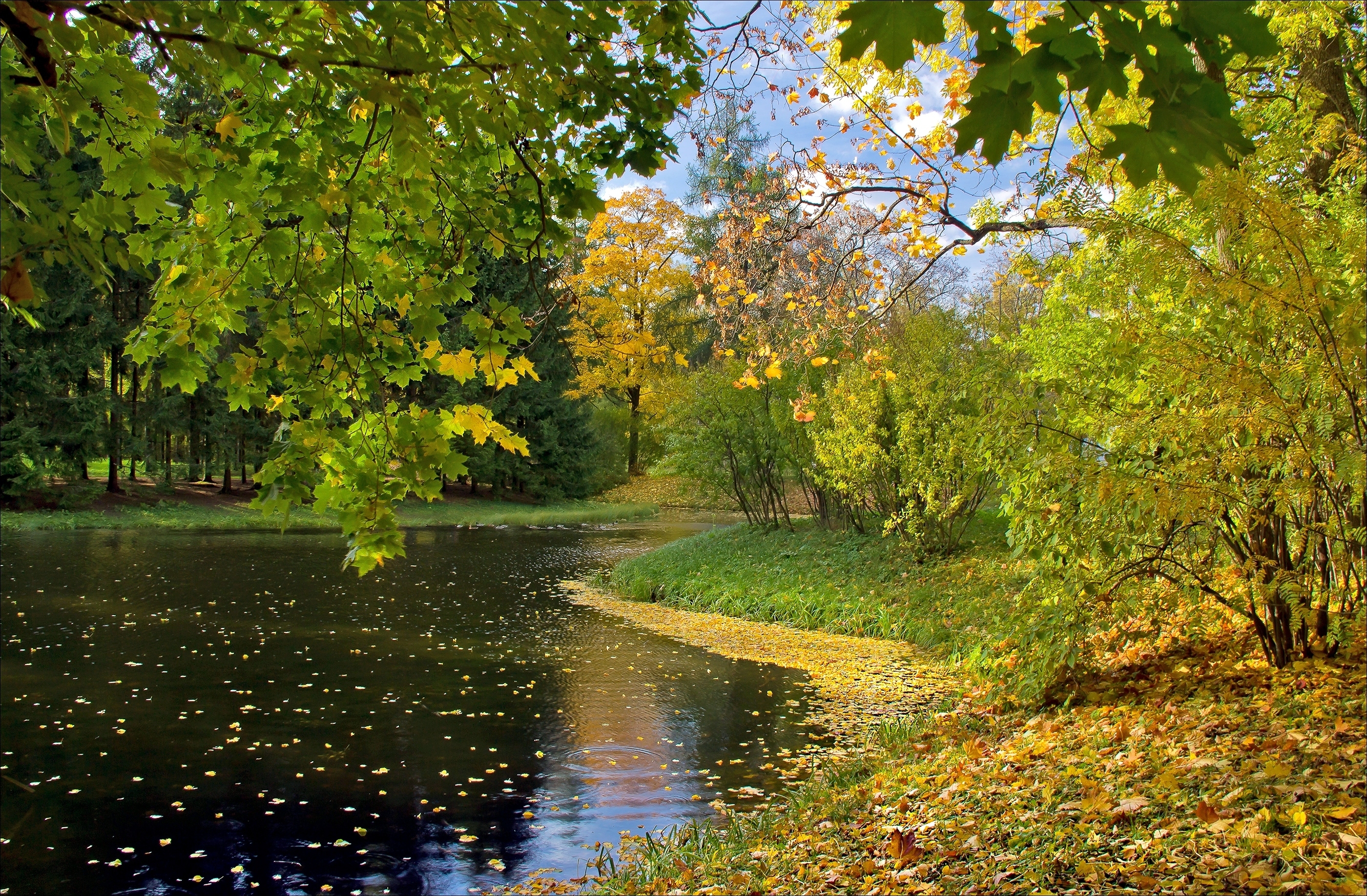 59706 скачать картинку природа, осень, листья, озеро - обои и заставки бесплатно